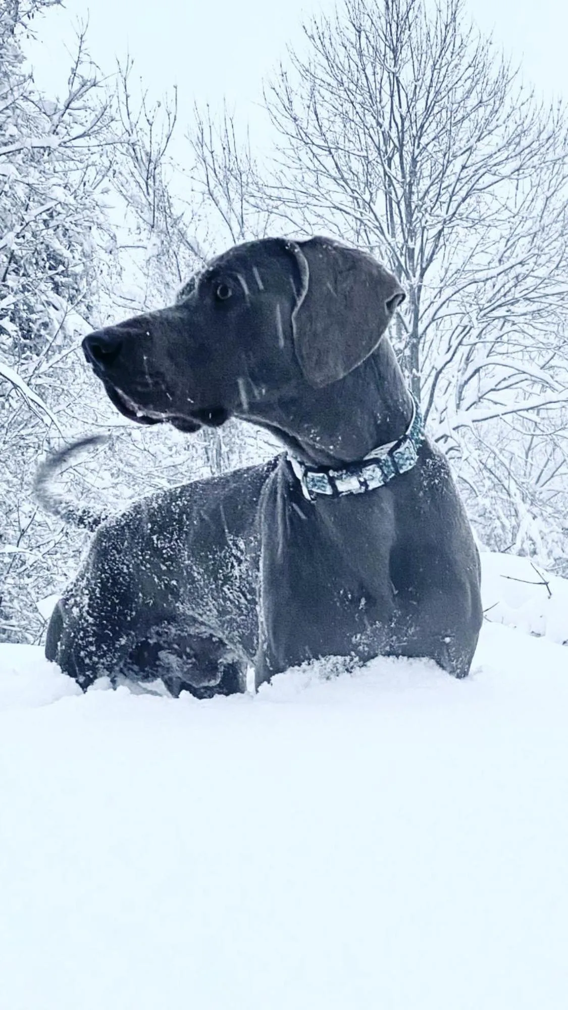 Winter in Balneum Boutique Hotel & B&B