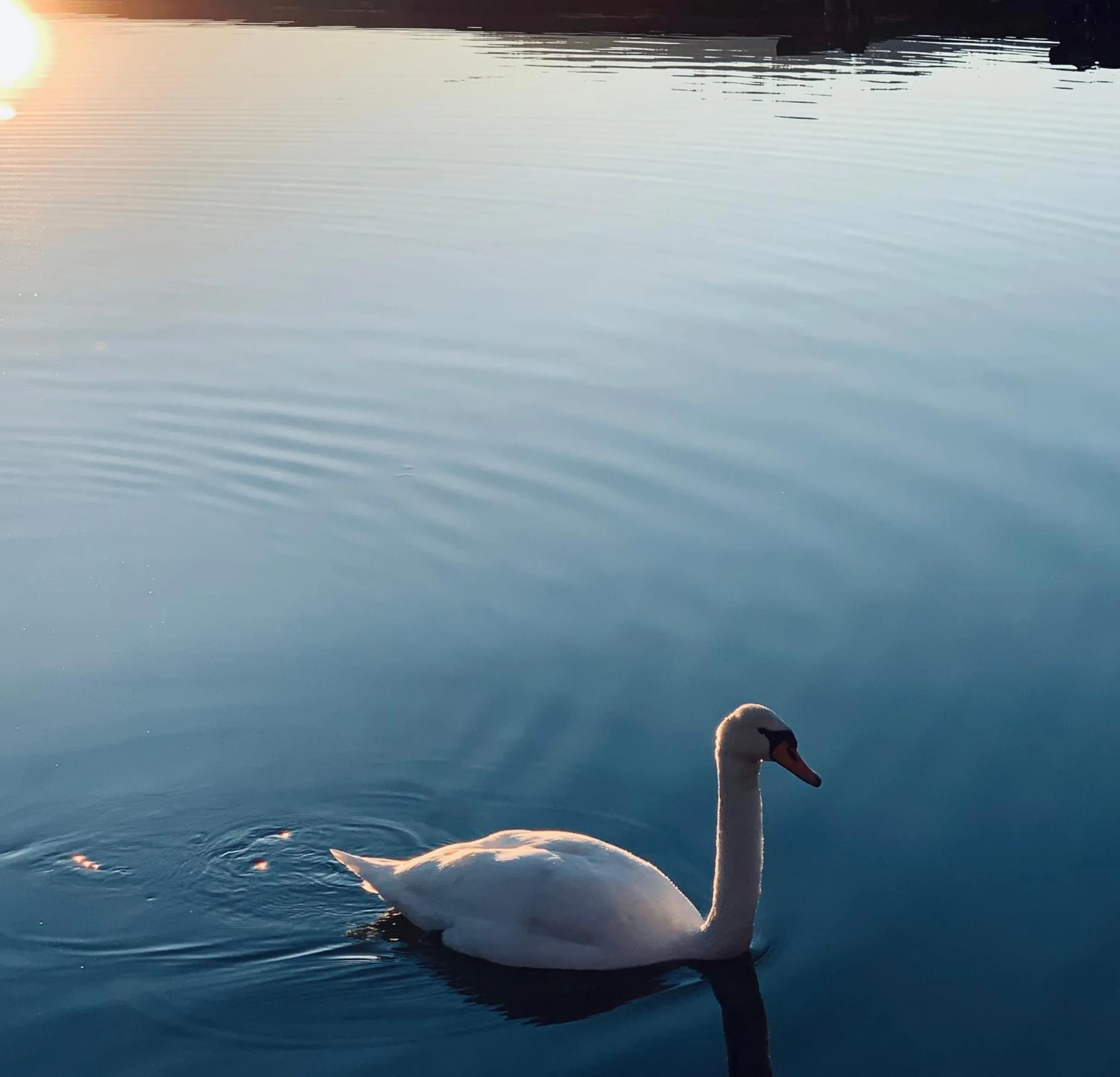 Natural landscape in Parkhotel Zuzek