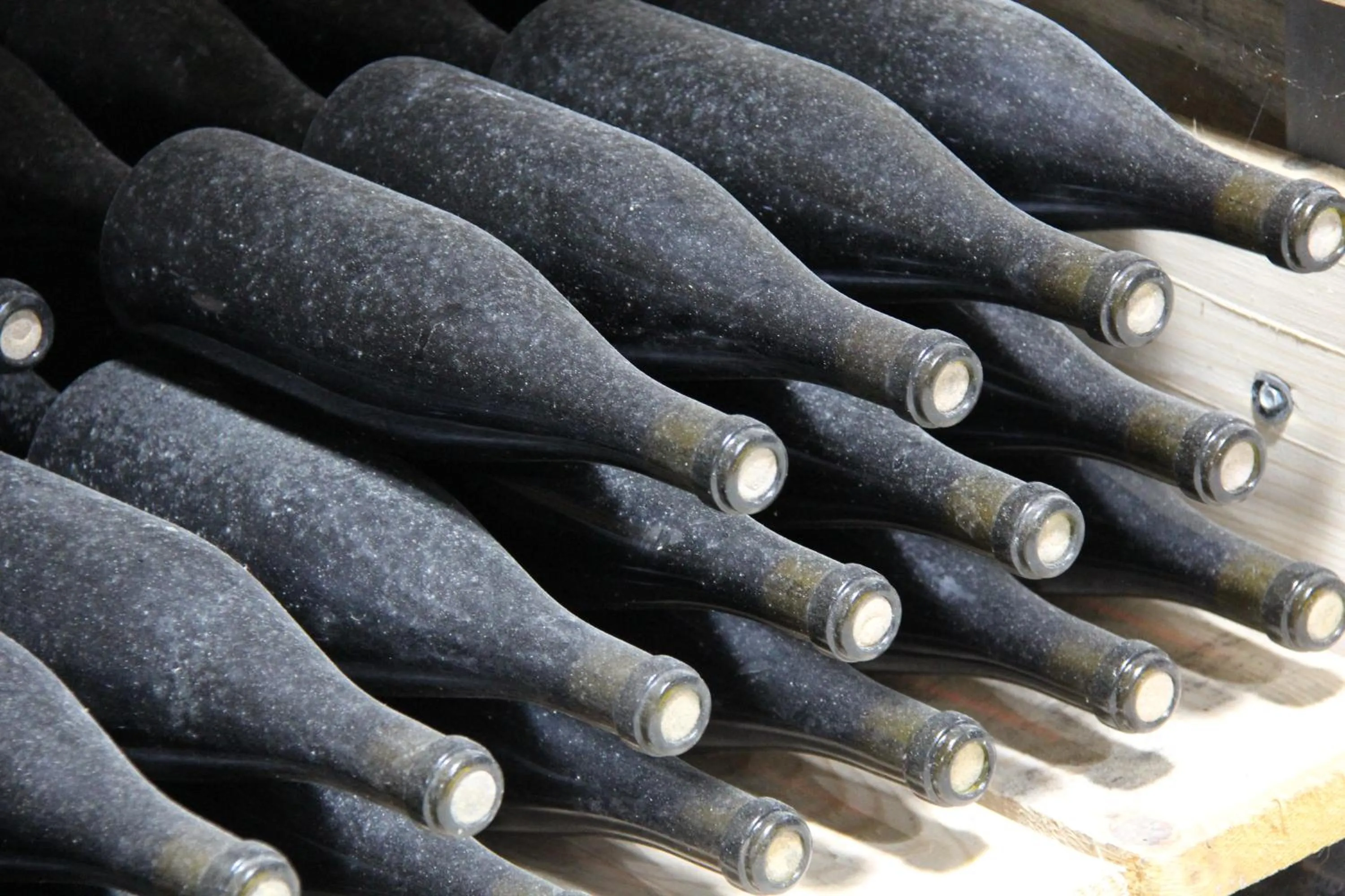 Alcoholic drinks in Ethno Sazano Hotel