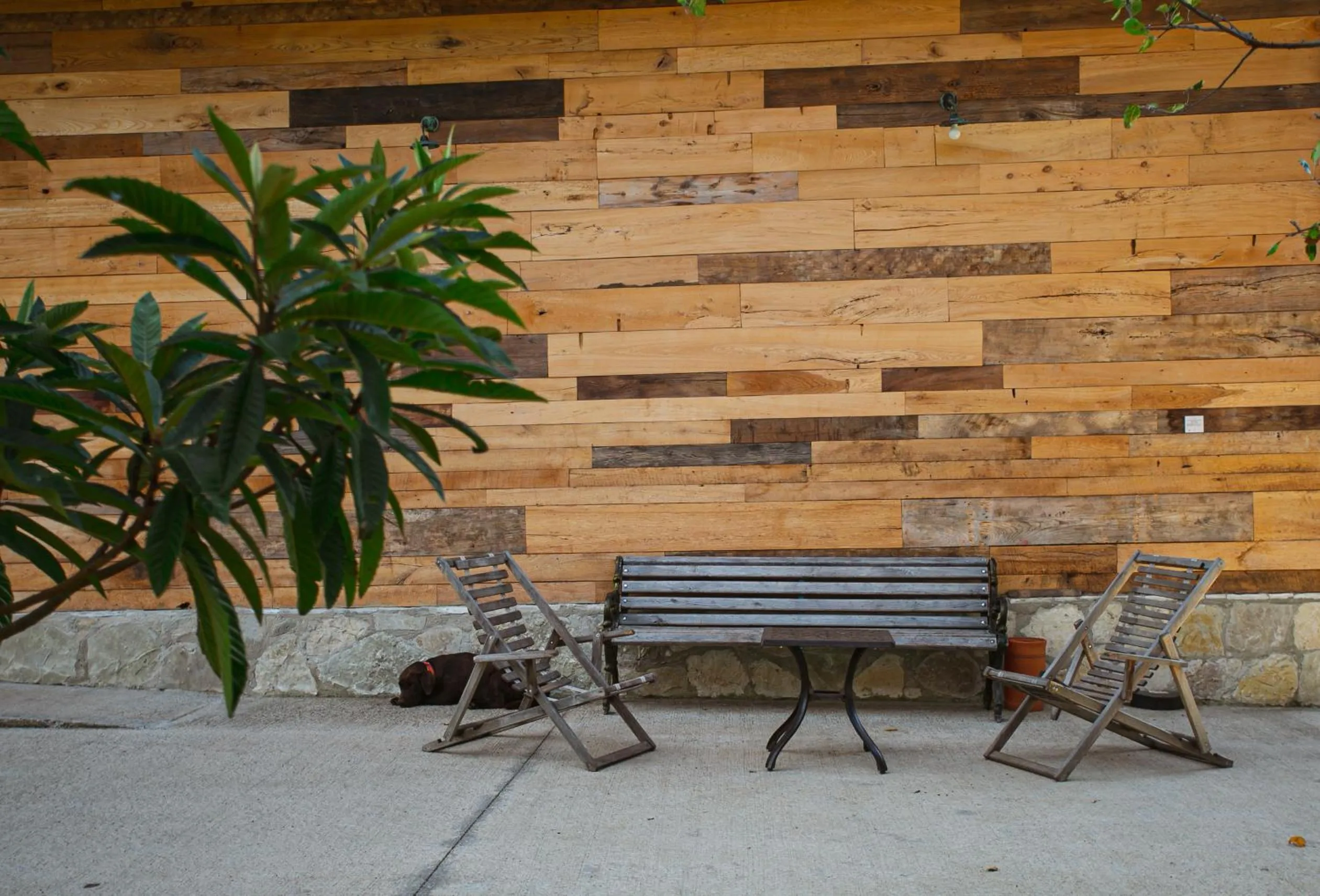 Garden in Ethno Sazano Hotel