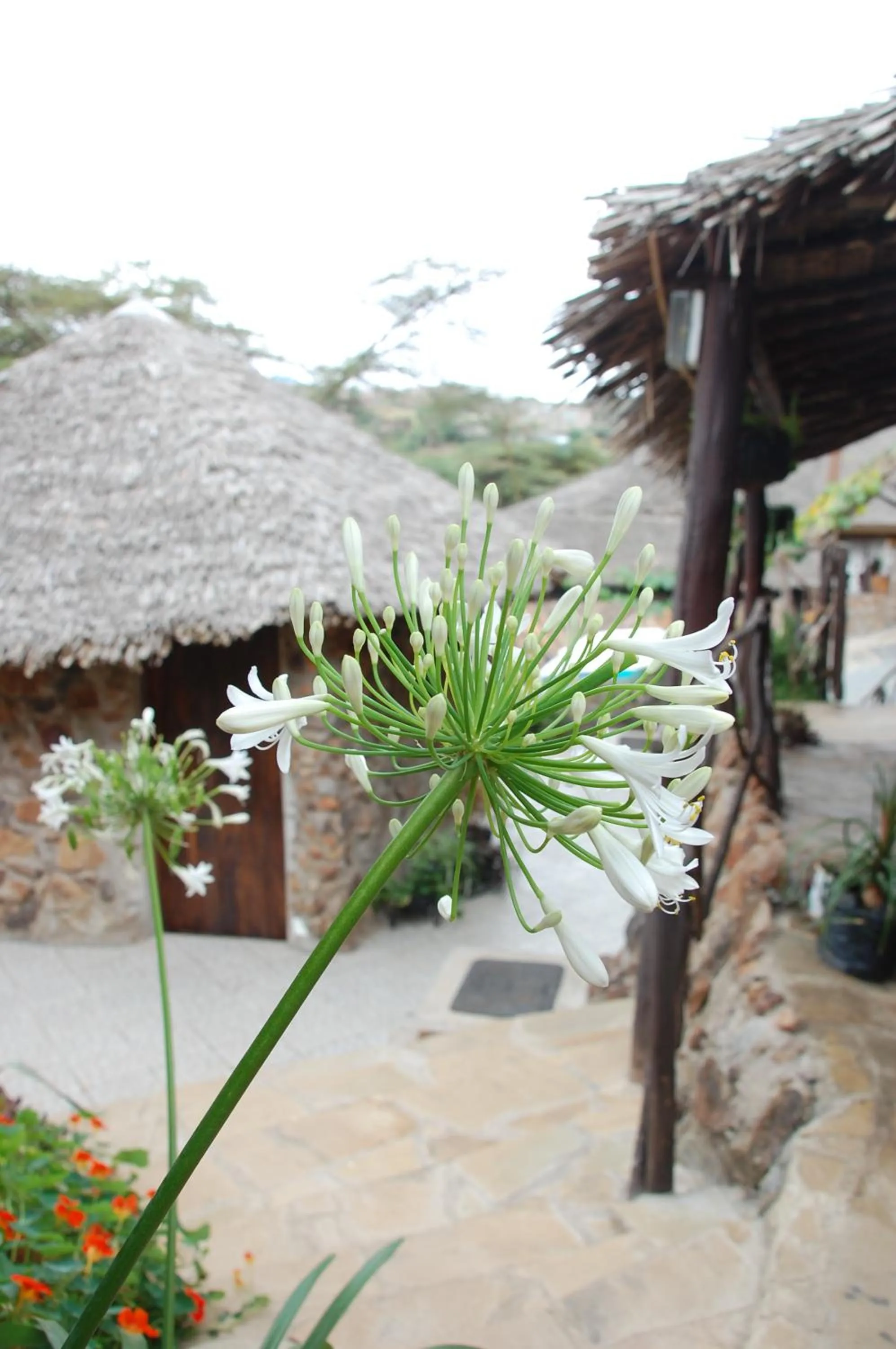 Facade/entrance in Osoita Lodge
