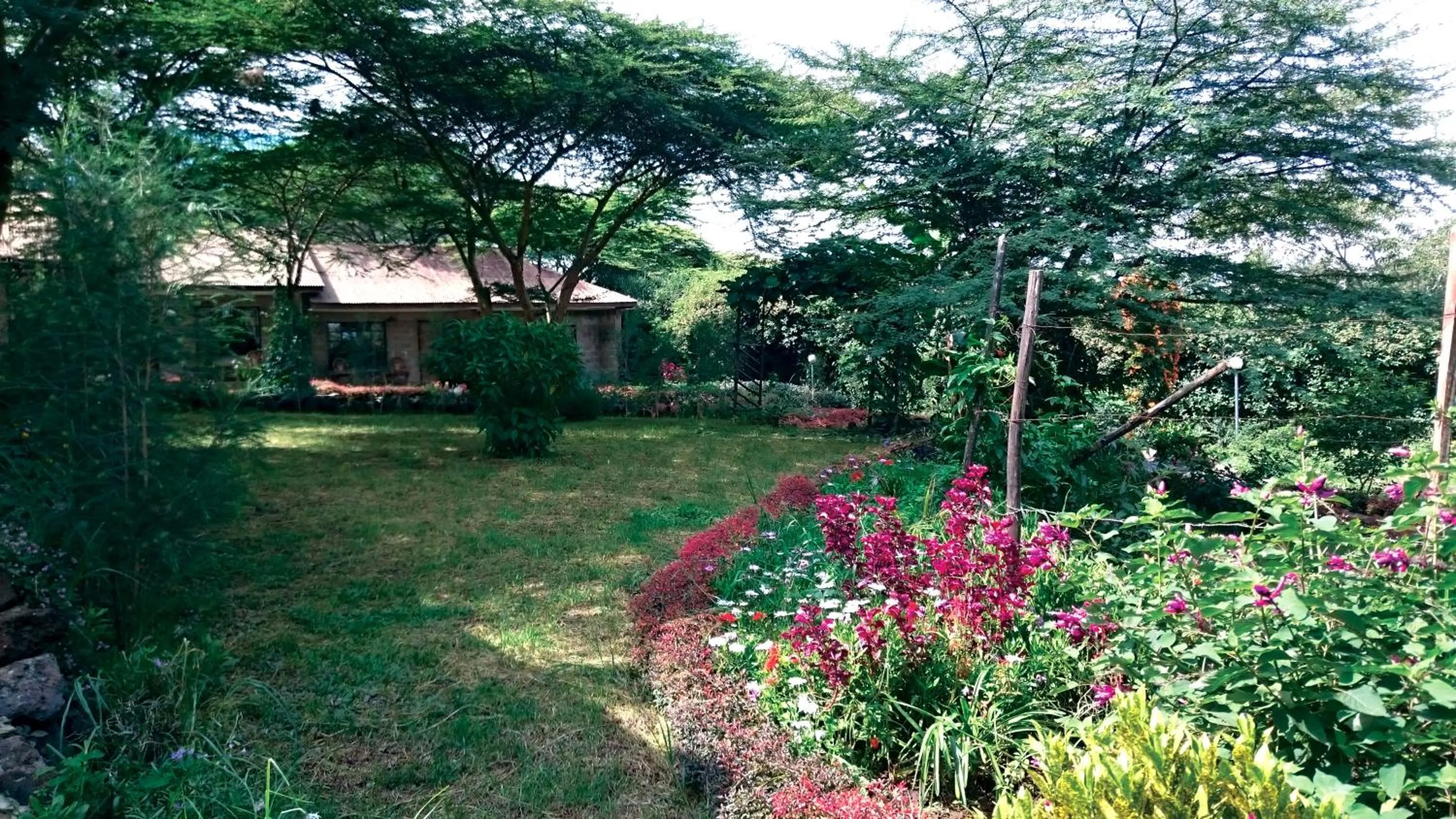Garden in Osoita Lodge