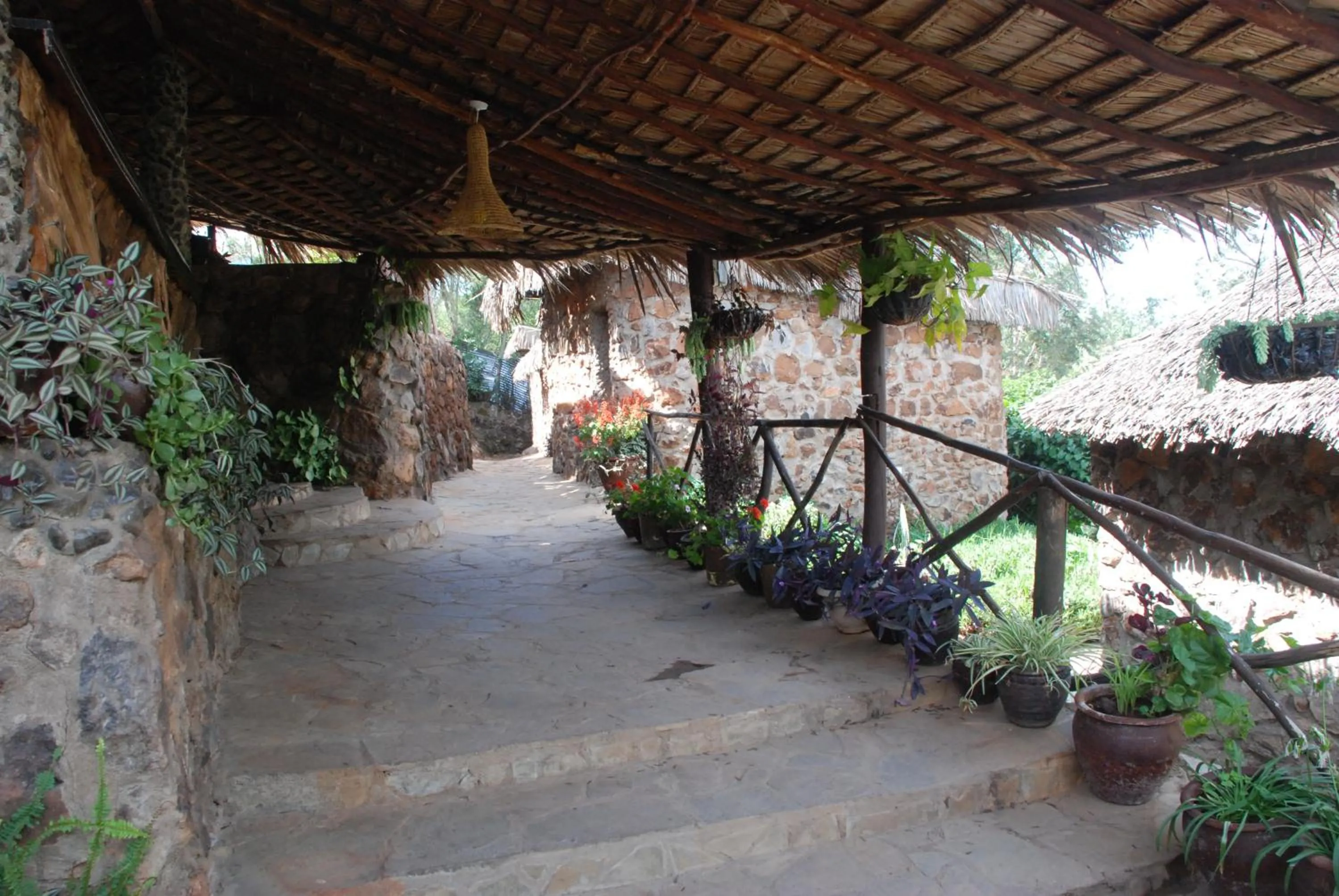 Facade/entrance in Osoita Lodge