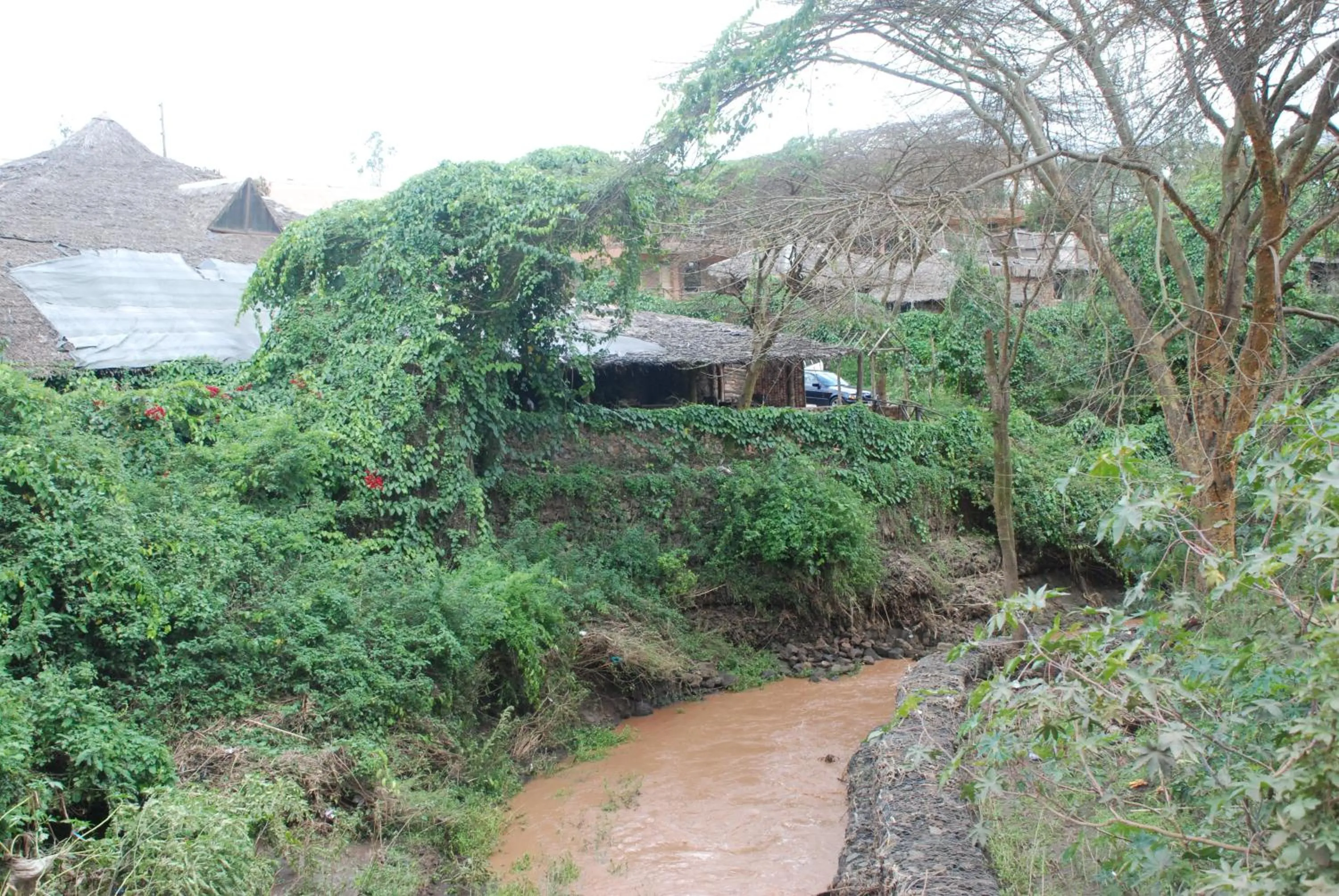 Area and facilities in Osoita Lodge
