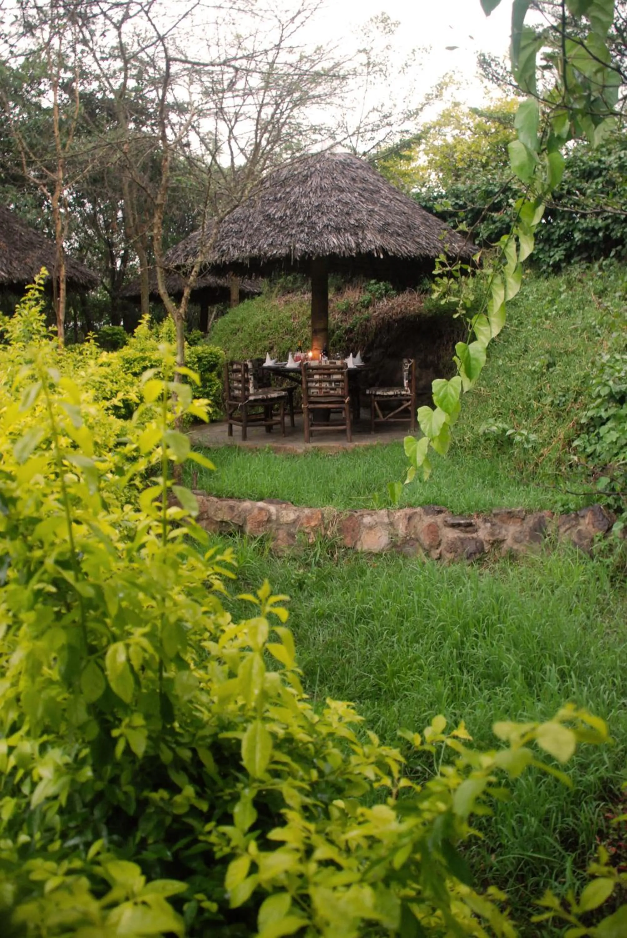Garden in Osoita Lodge