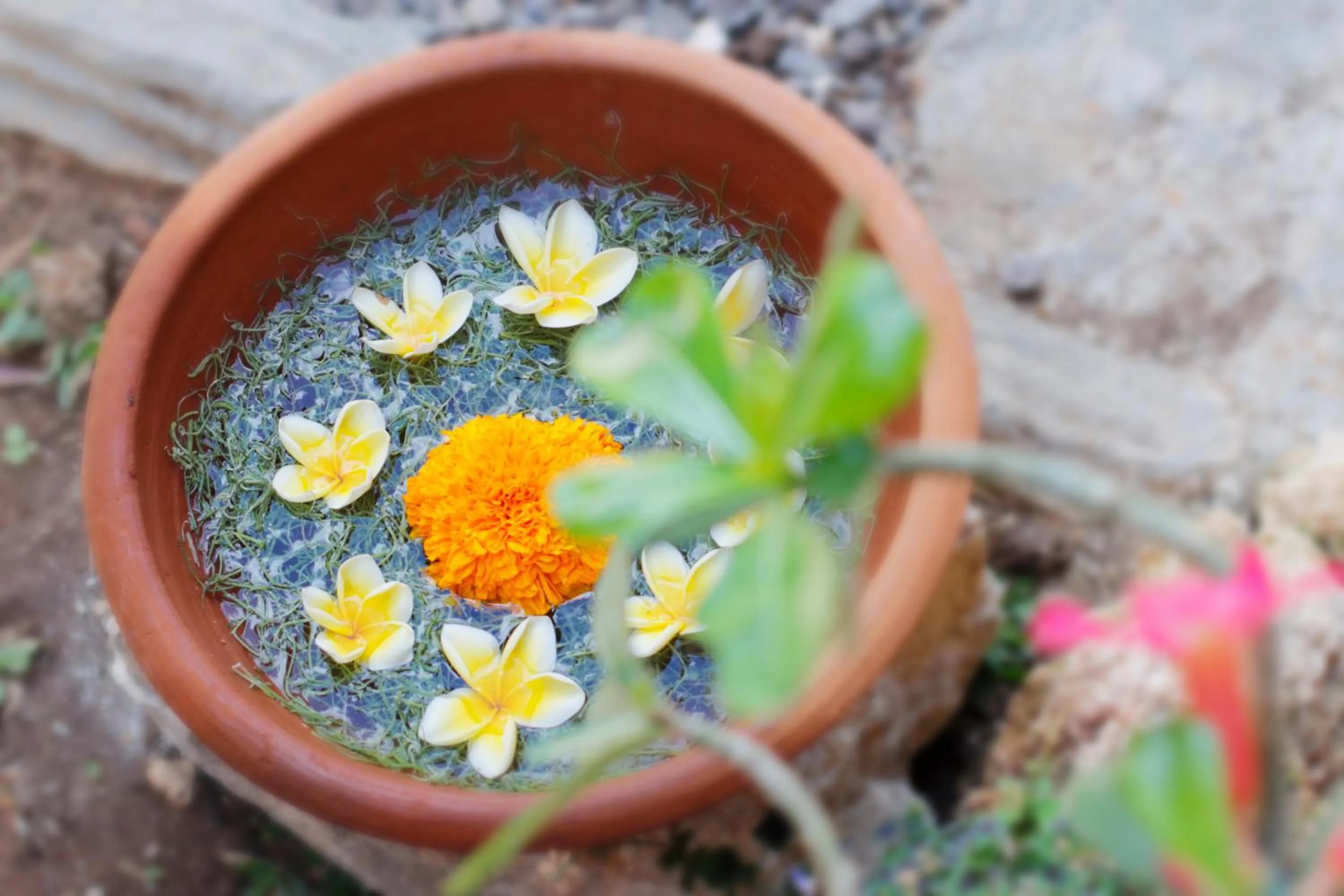 Area and facilities in The Tamban Jukung