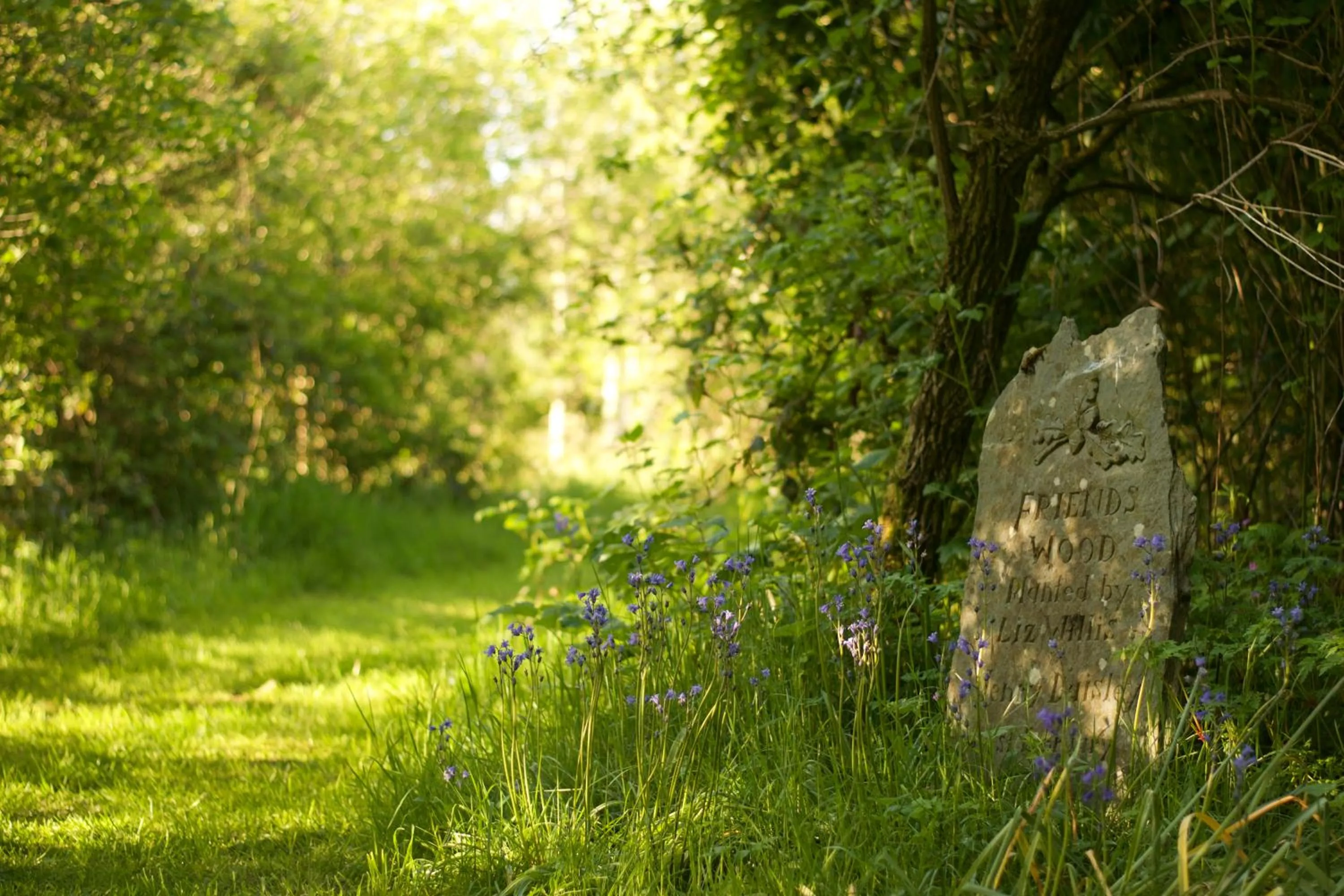 Holwell Holistic Retreat