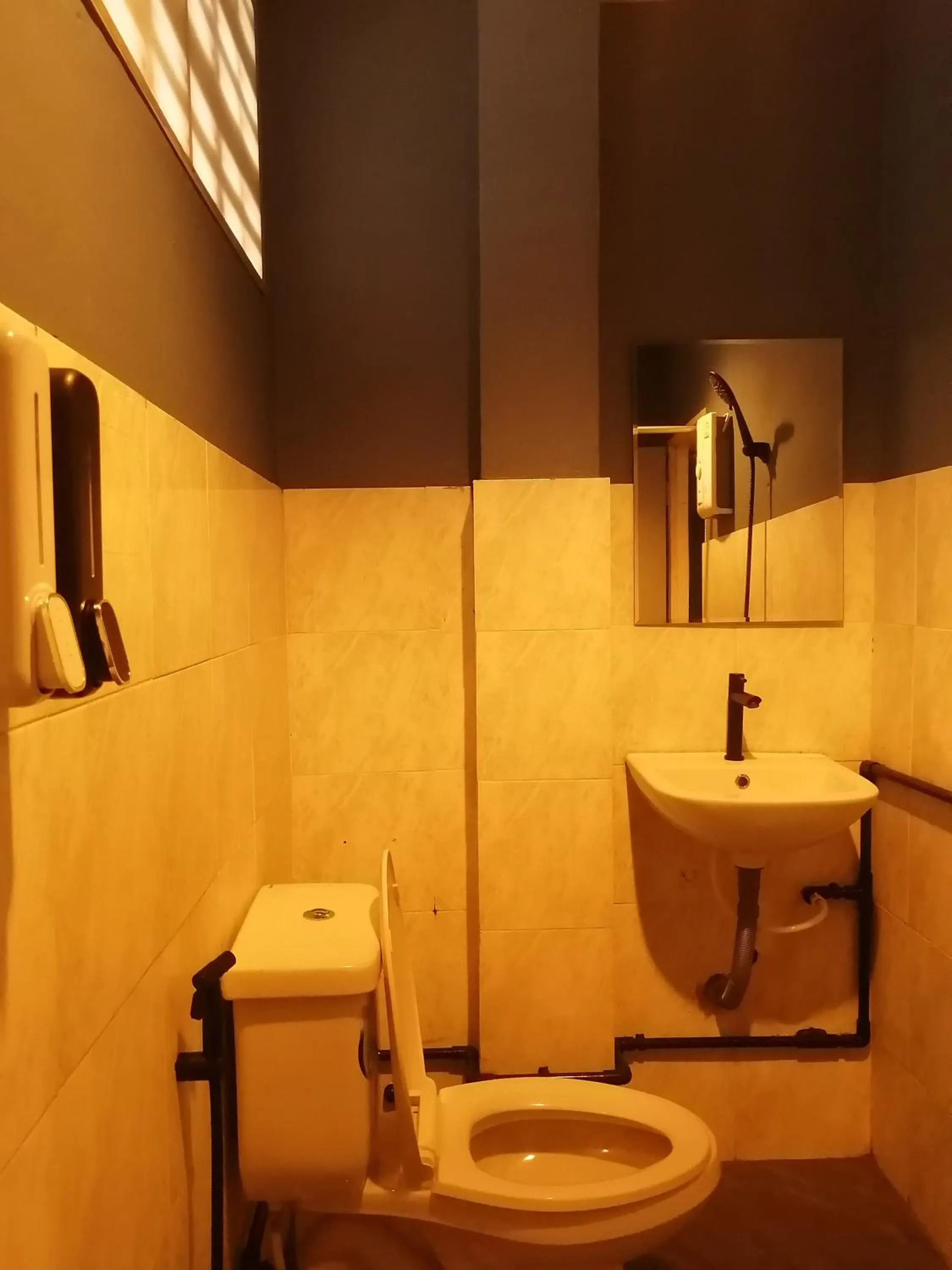 Toilet in airport house