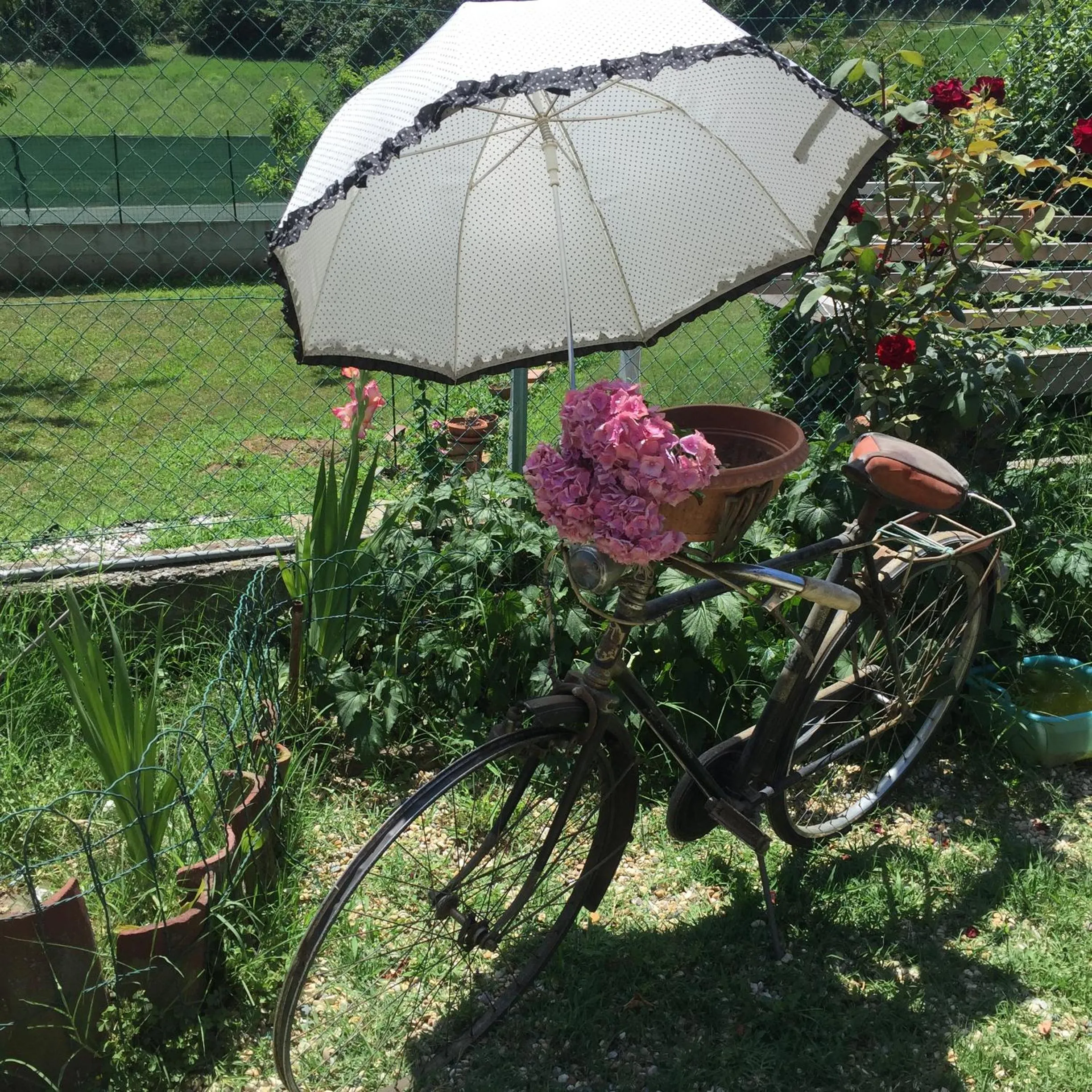 Property building in Oca Carolina