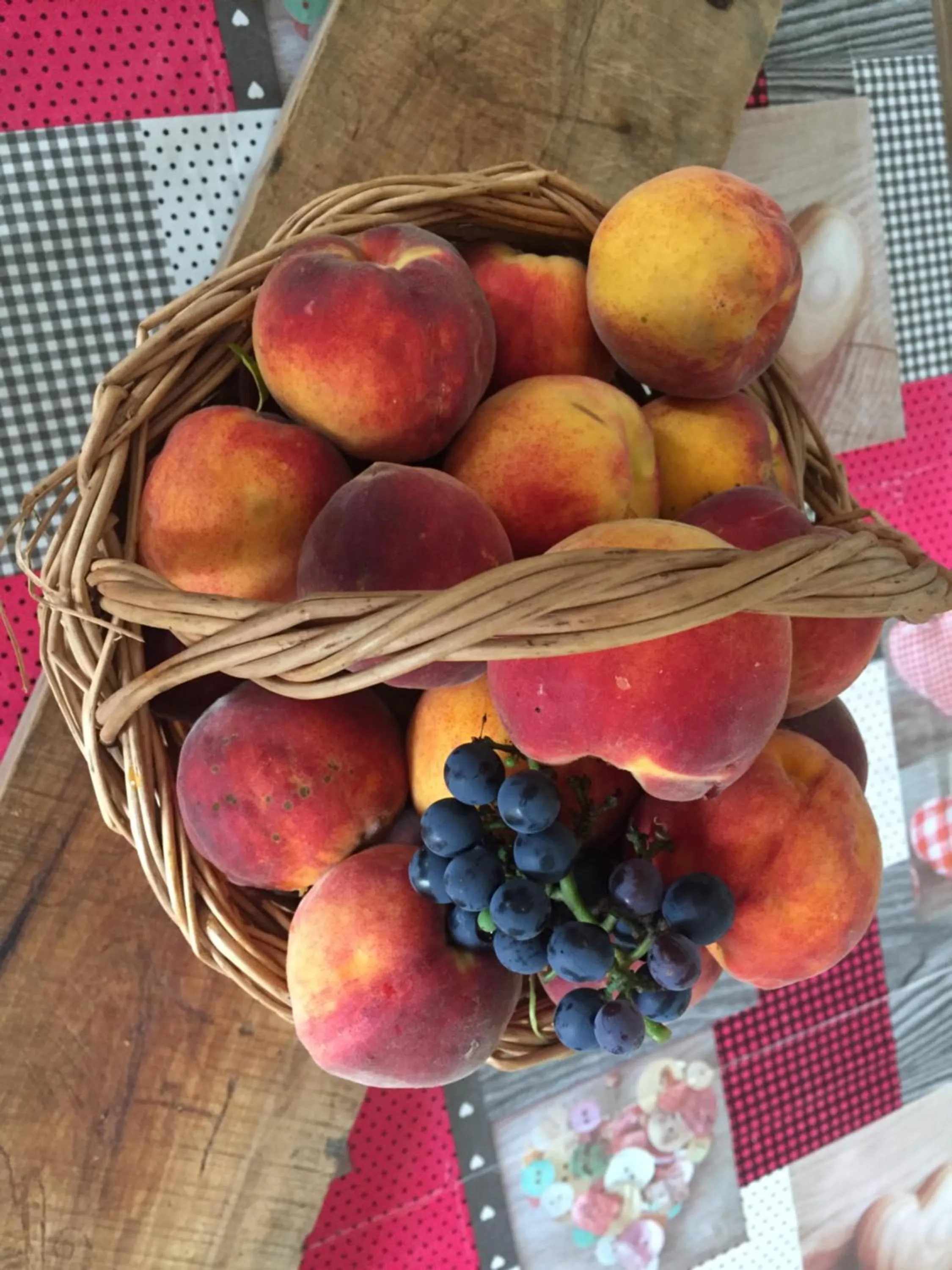 Summer in Oca Carolina