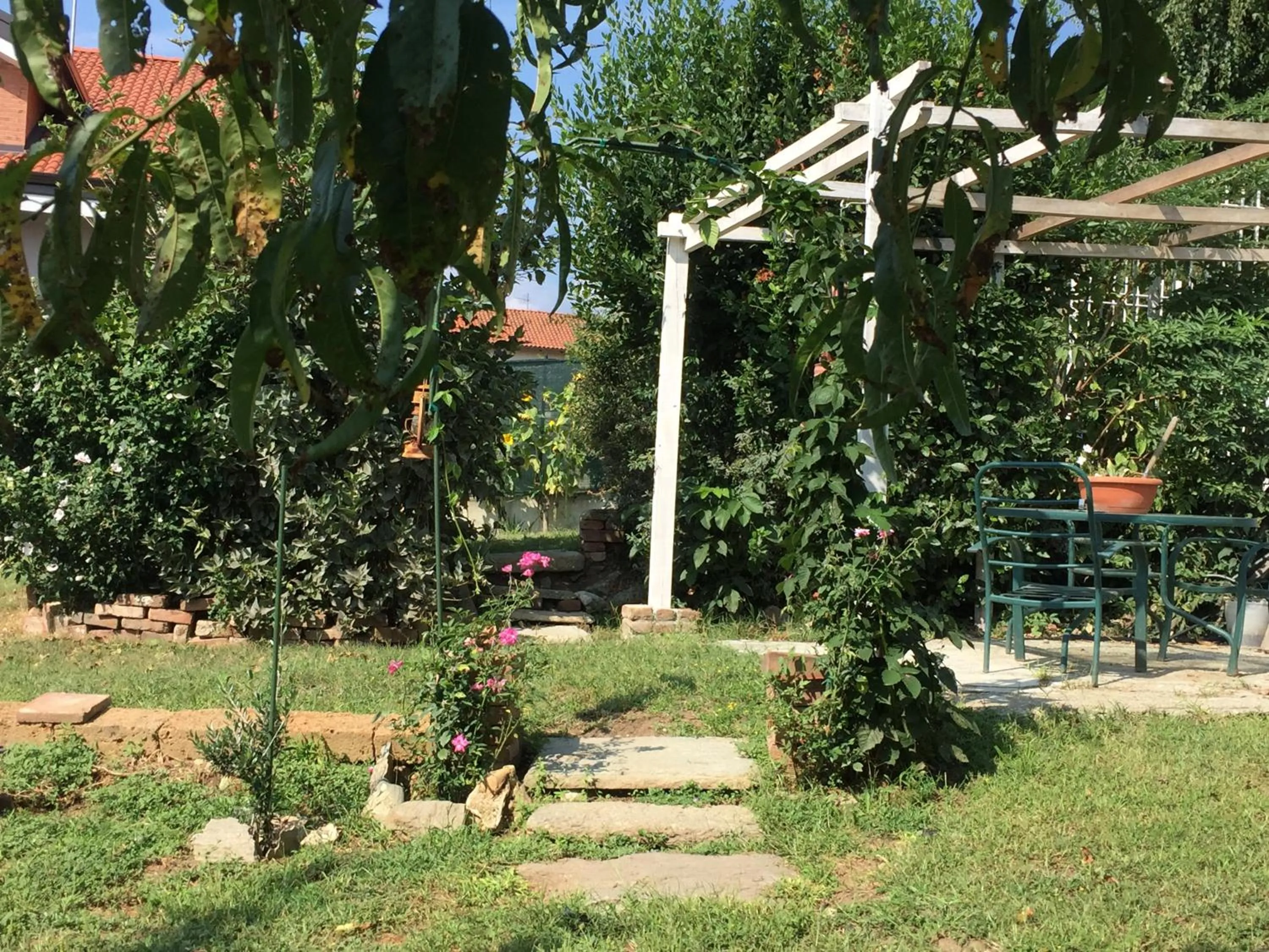 View (from property/room) in Oca Carolina