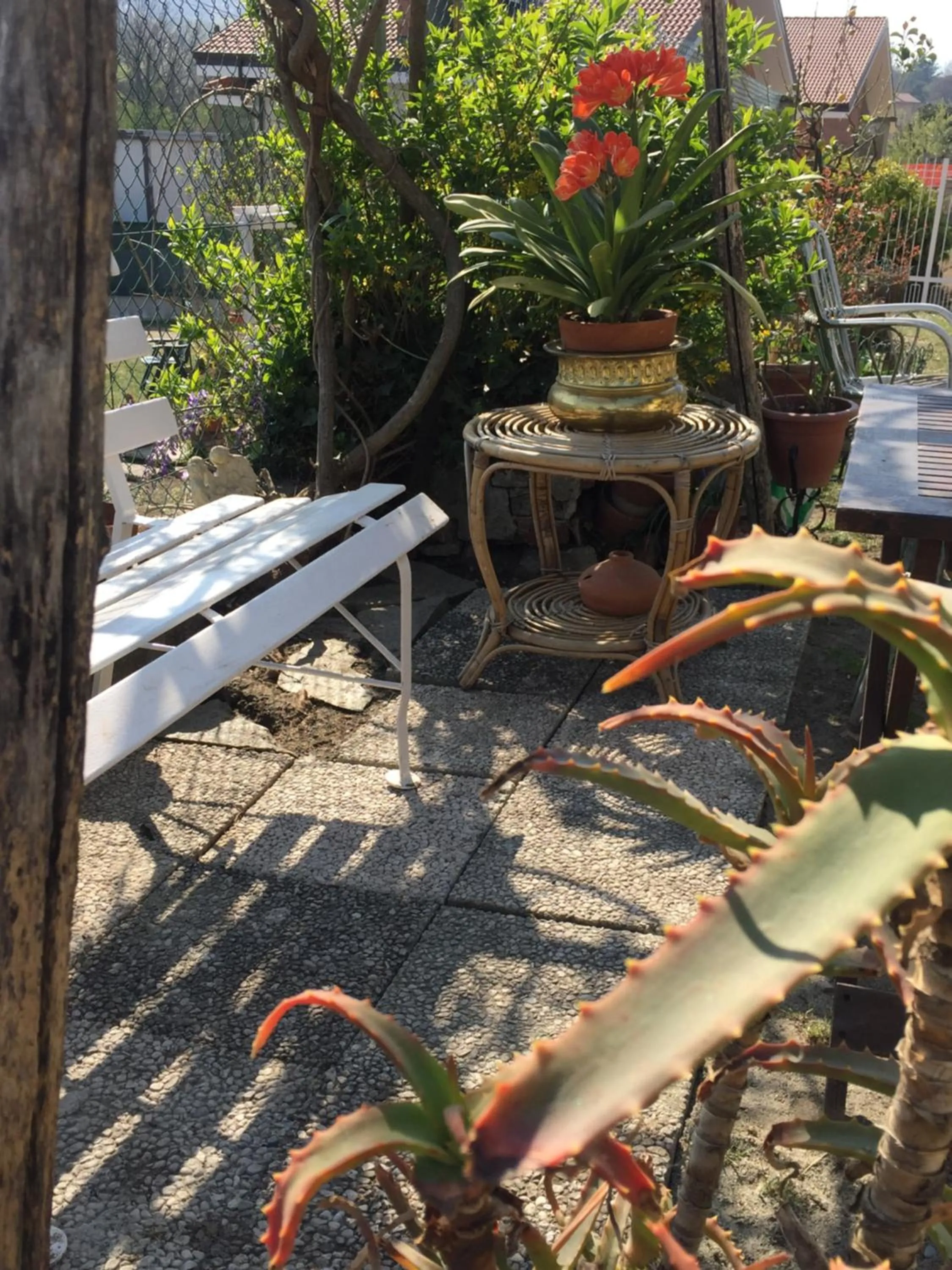 Patio in Oca Carolina