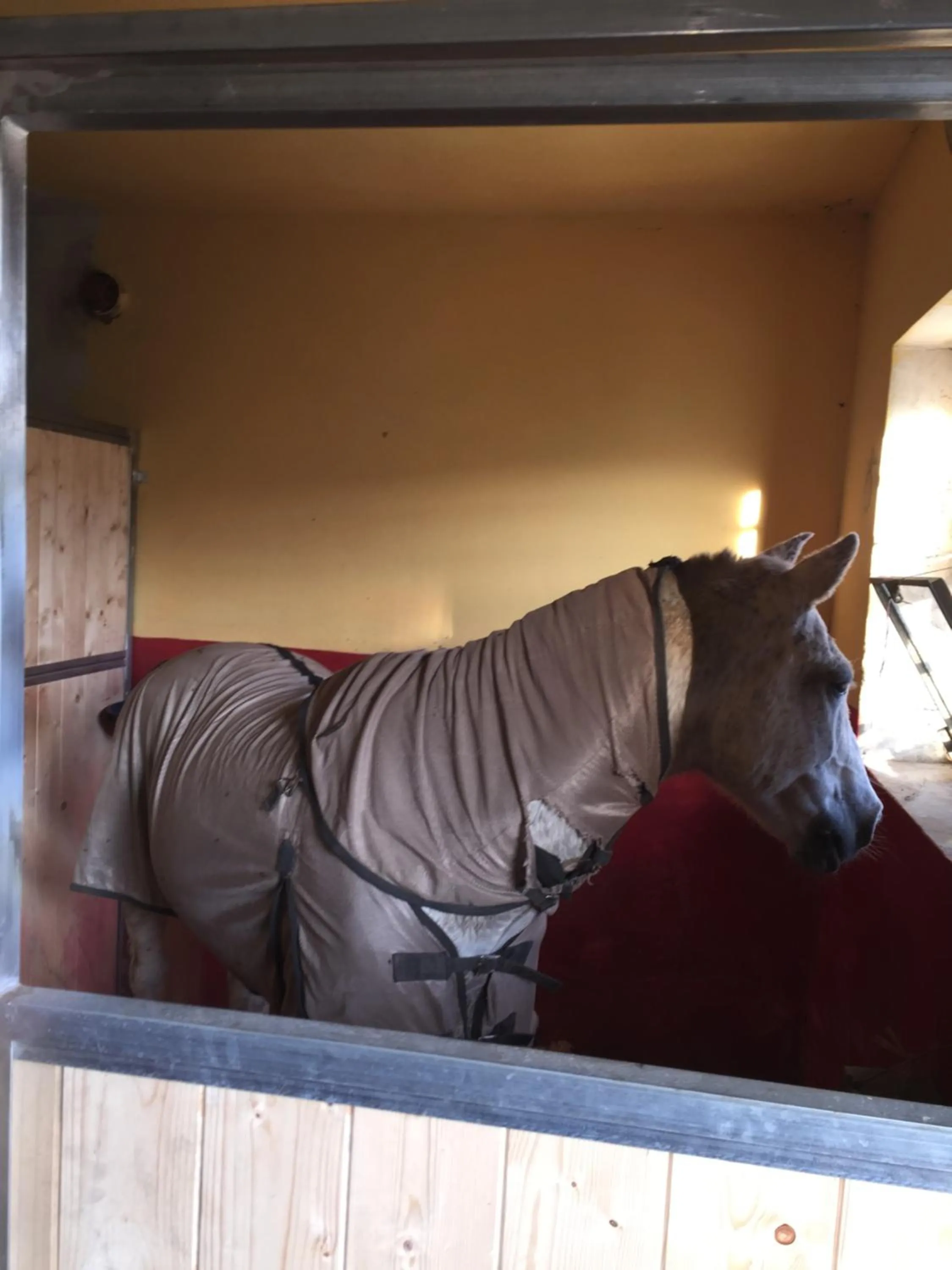 Activities in Oca Carolina