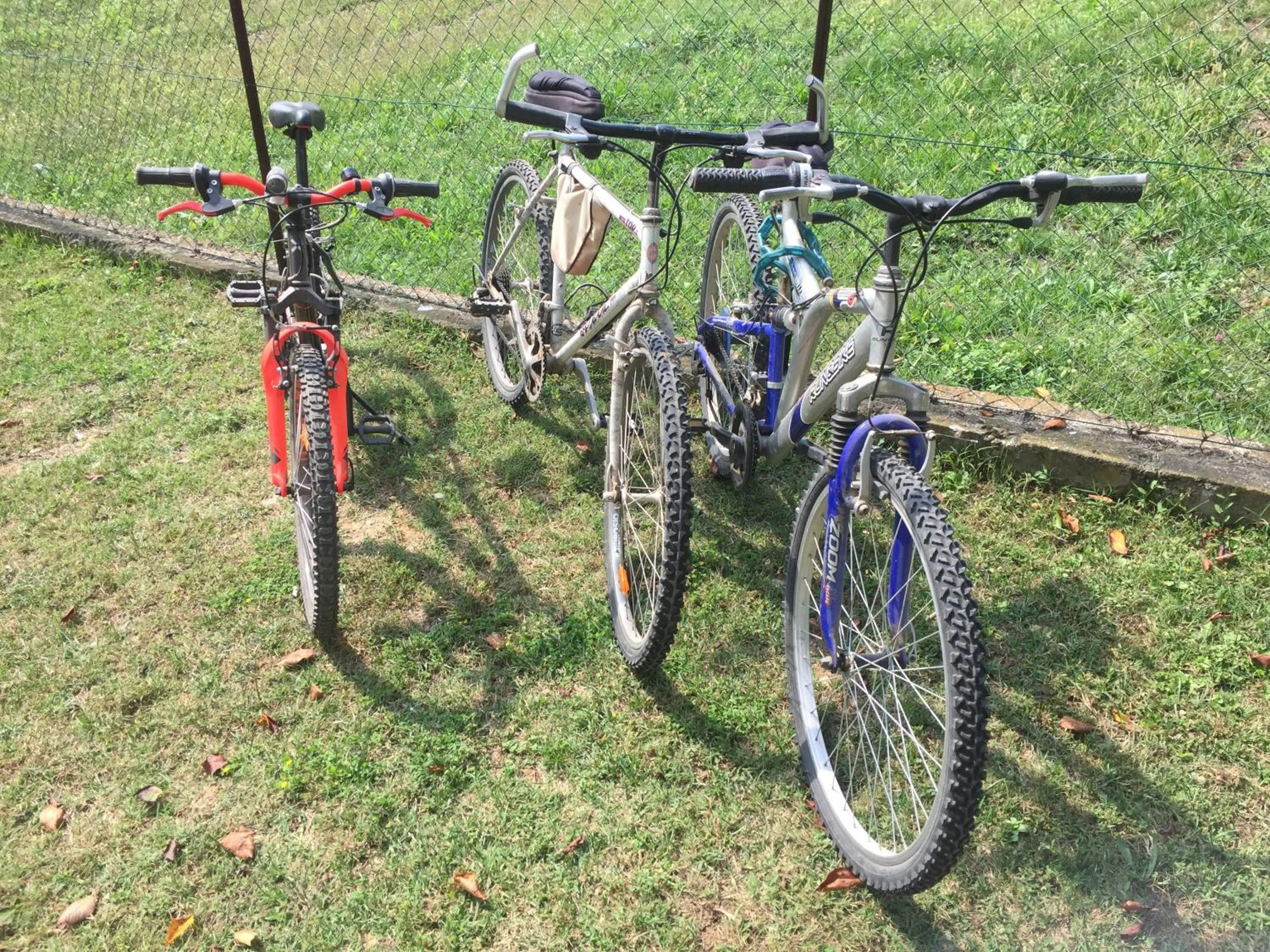 Nearby landmark in Oca Carolina