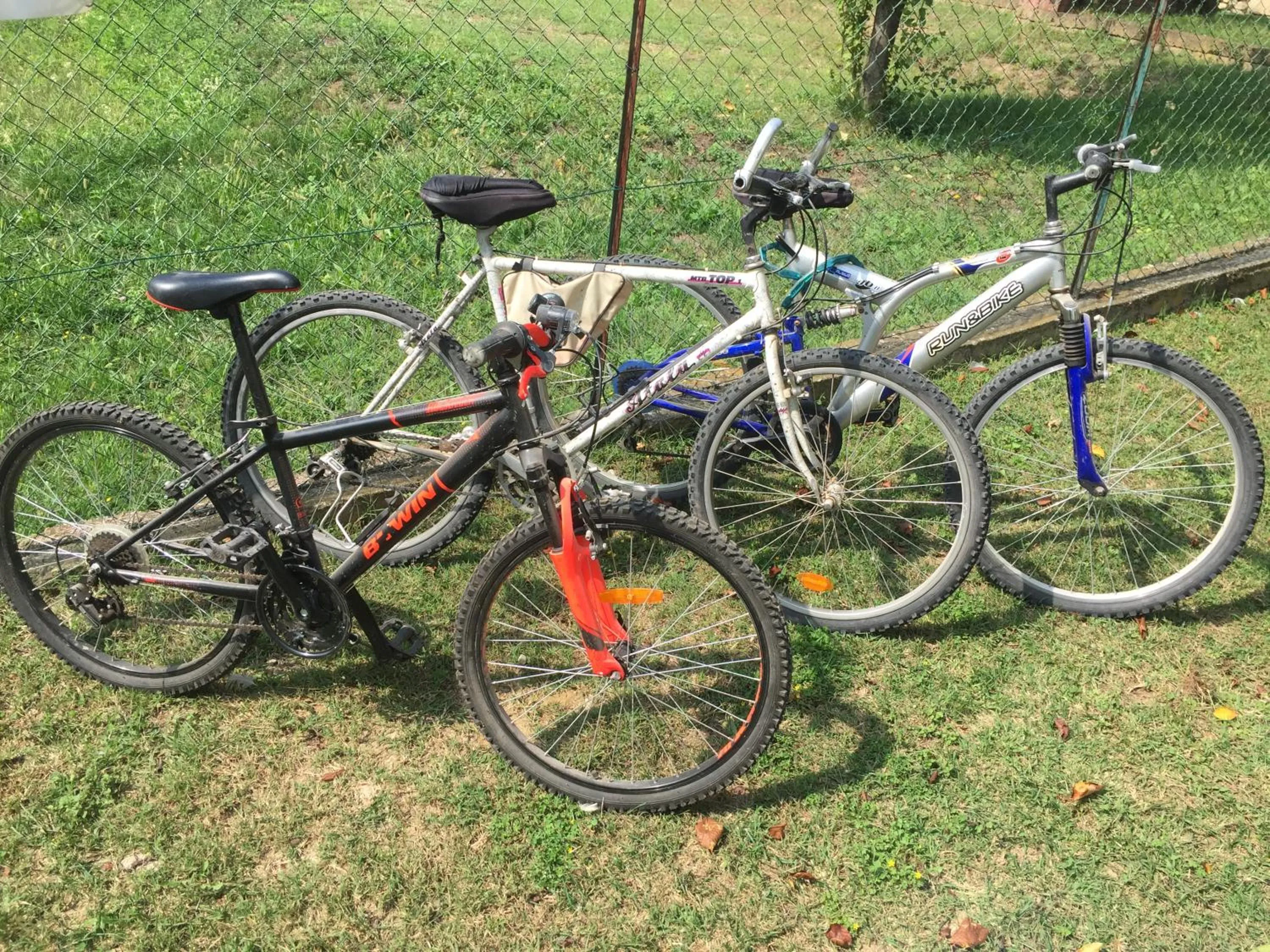 Staff in Oca Carolina