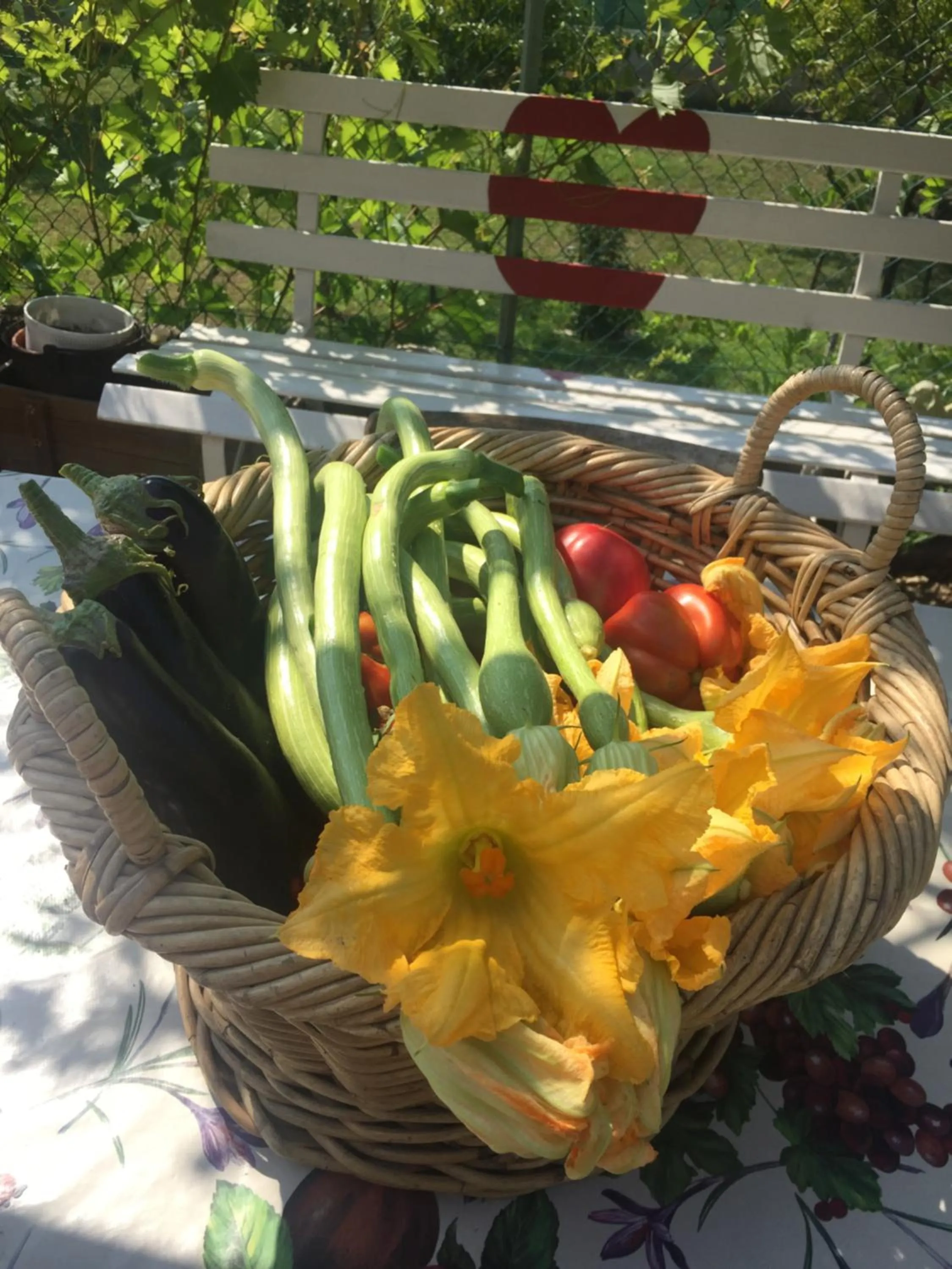 Food in Oca Carolina