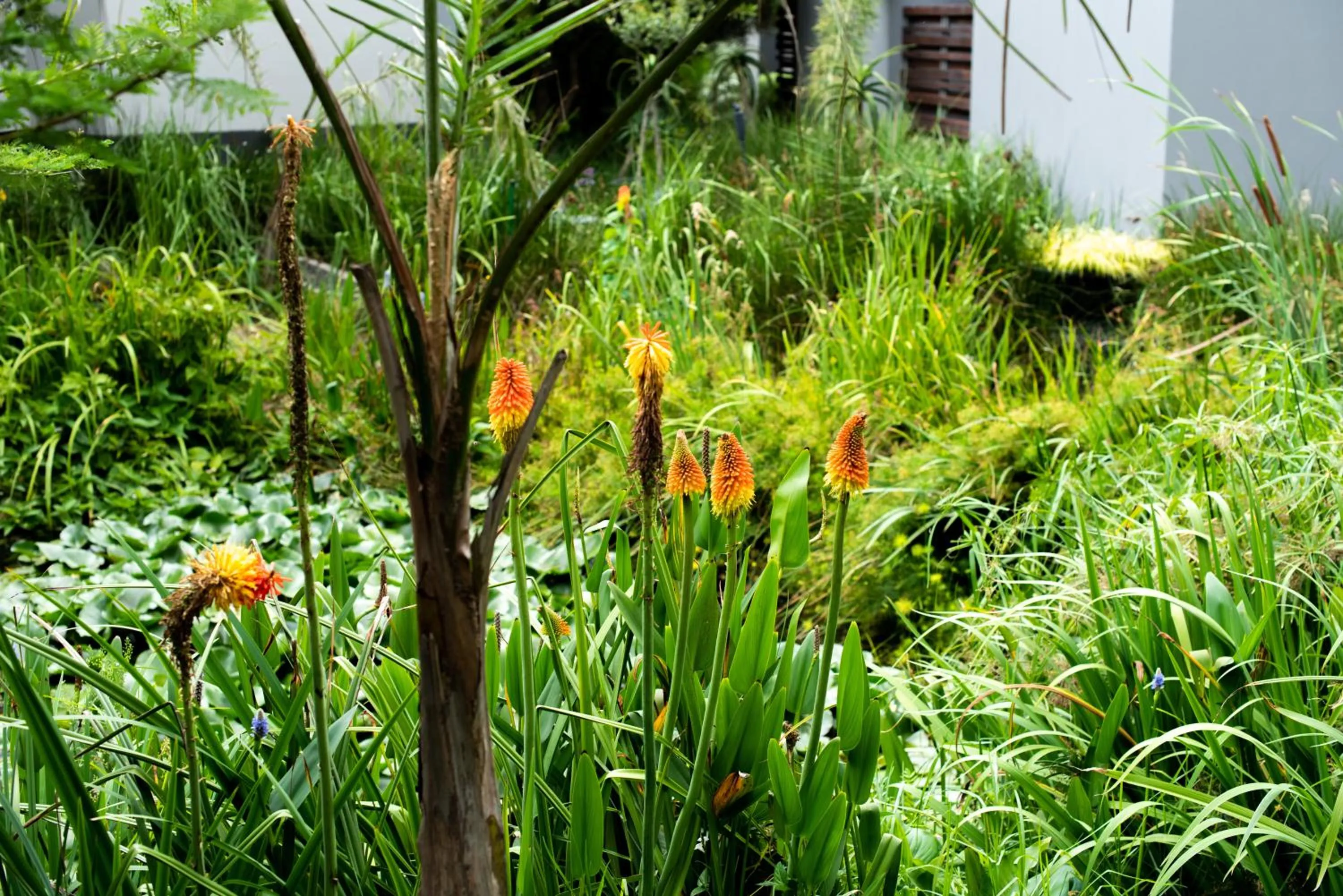 Garden in Seven Villa Hotel & Spa