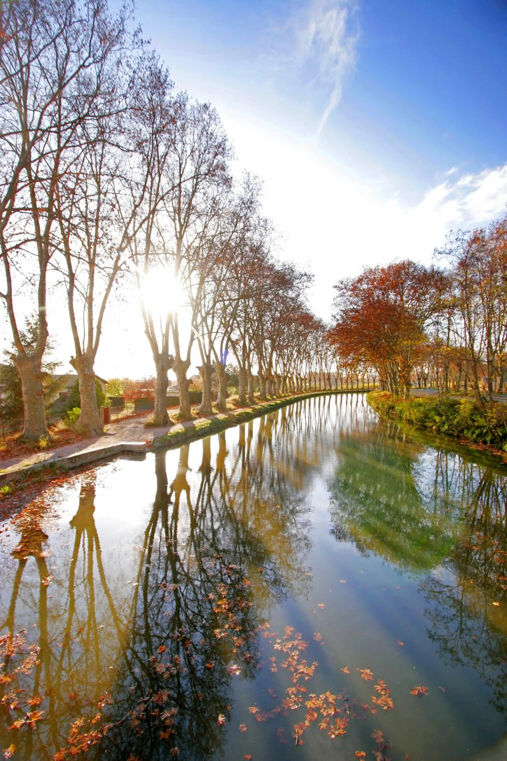 Day in Hôtel IMPERATOR Béziers