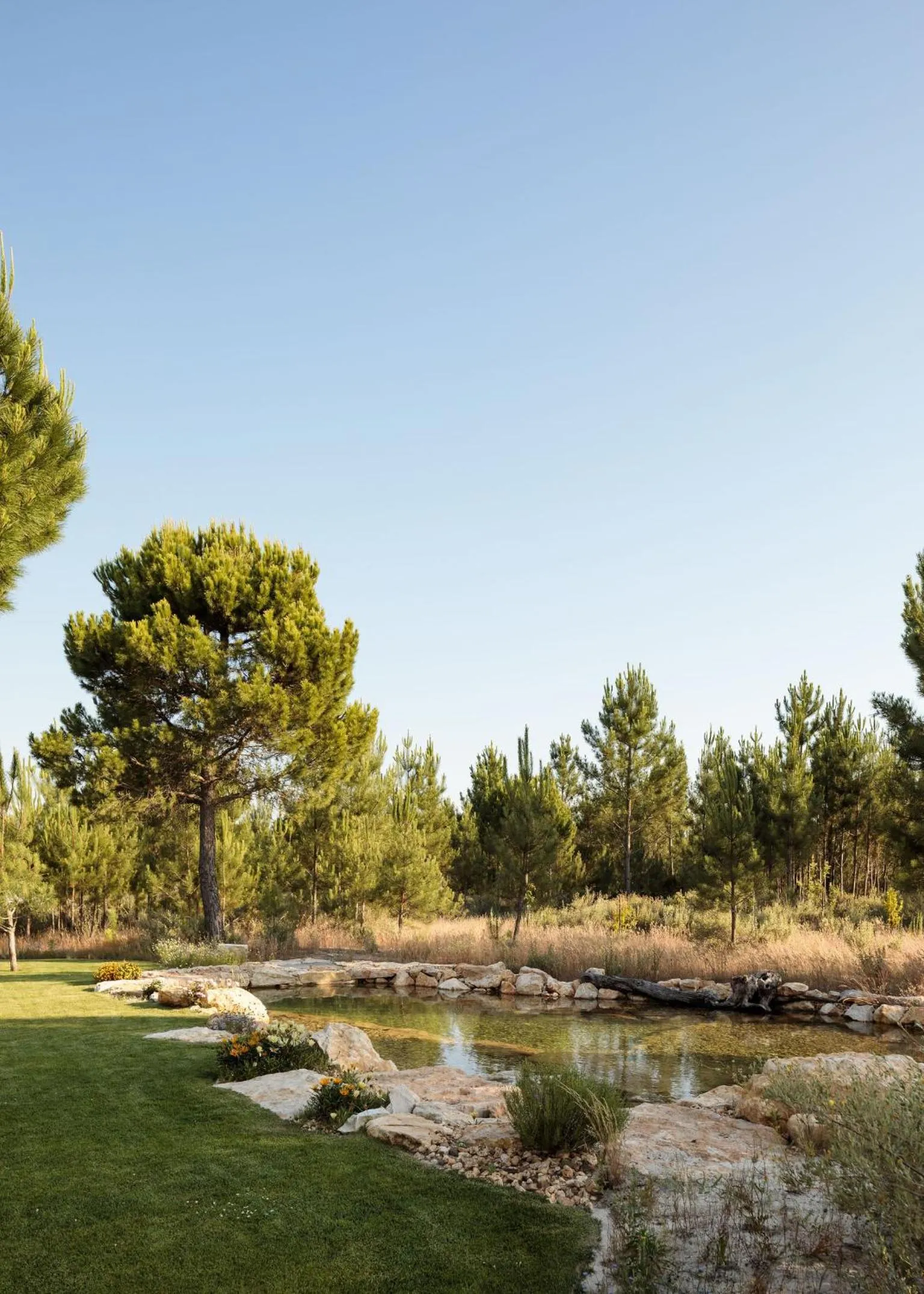 Lake view in Spatia Comporta
