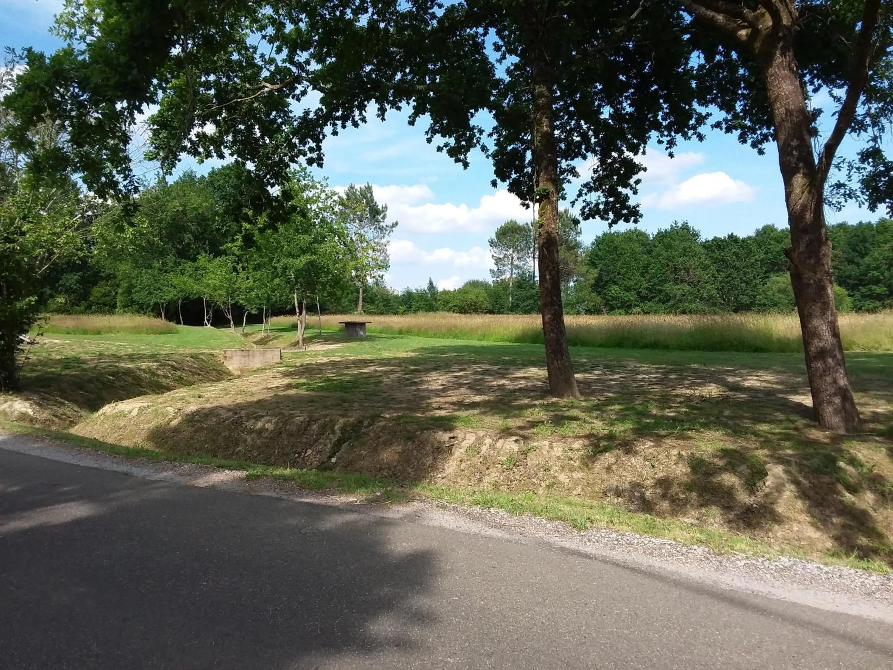 Garden in maison d'hôtes labastide