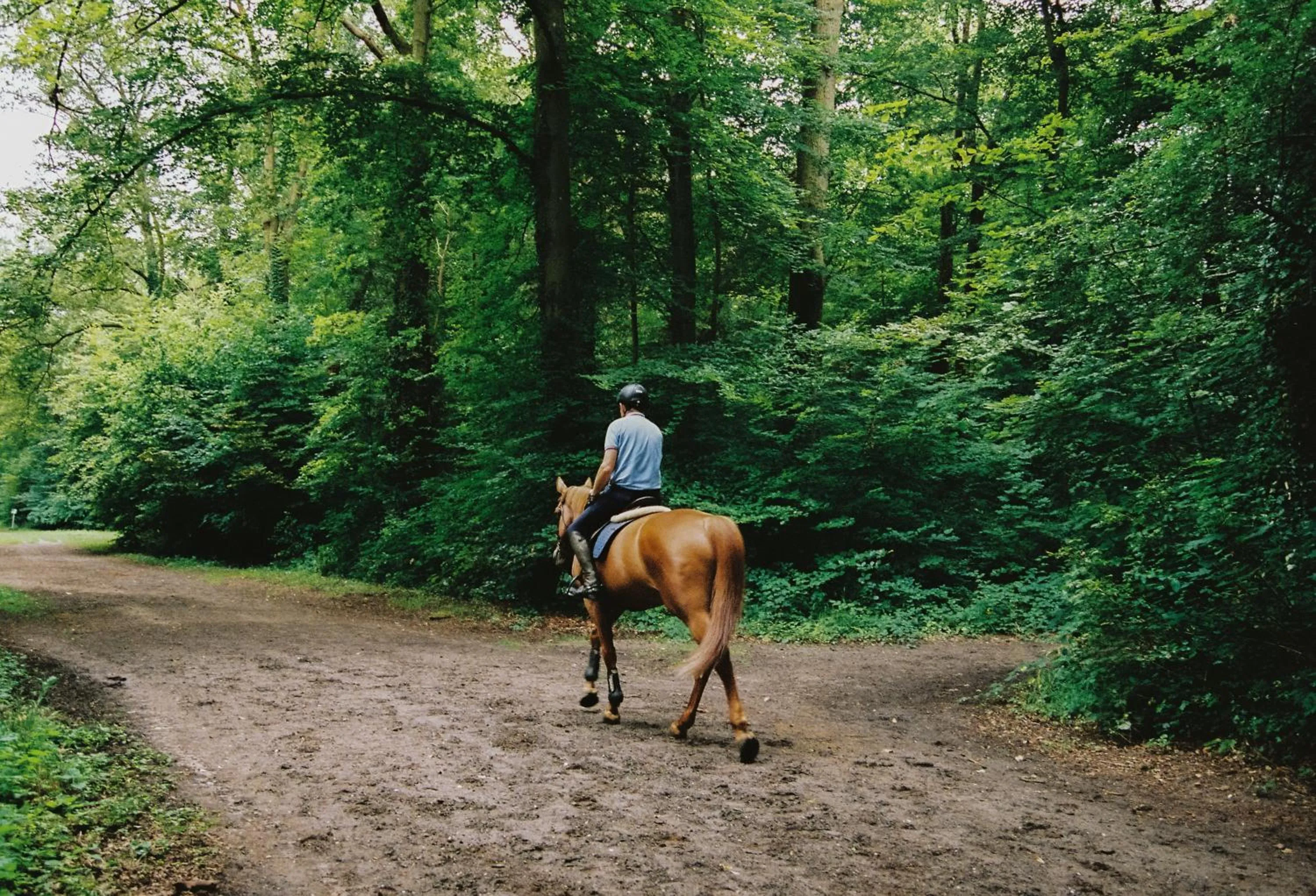 Day in ALFRED HOTELS Compiègne