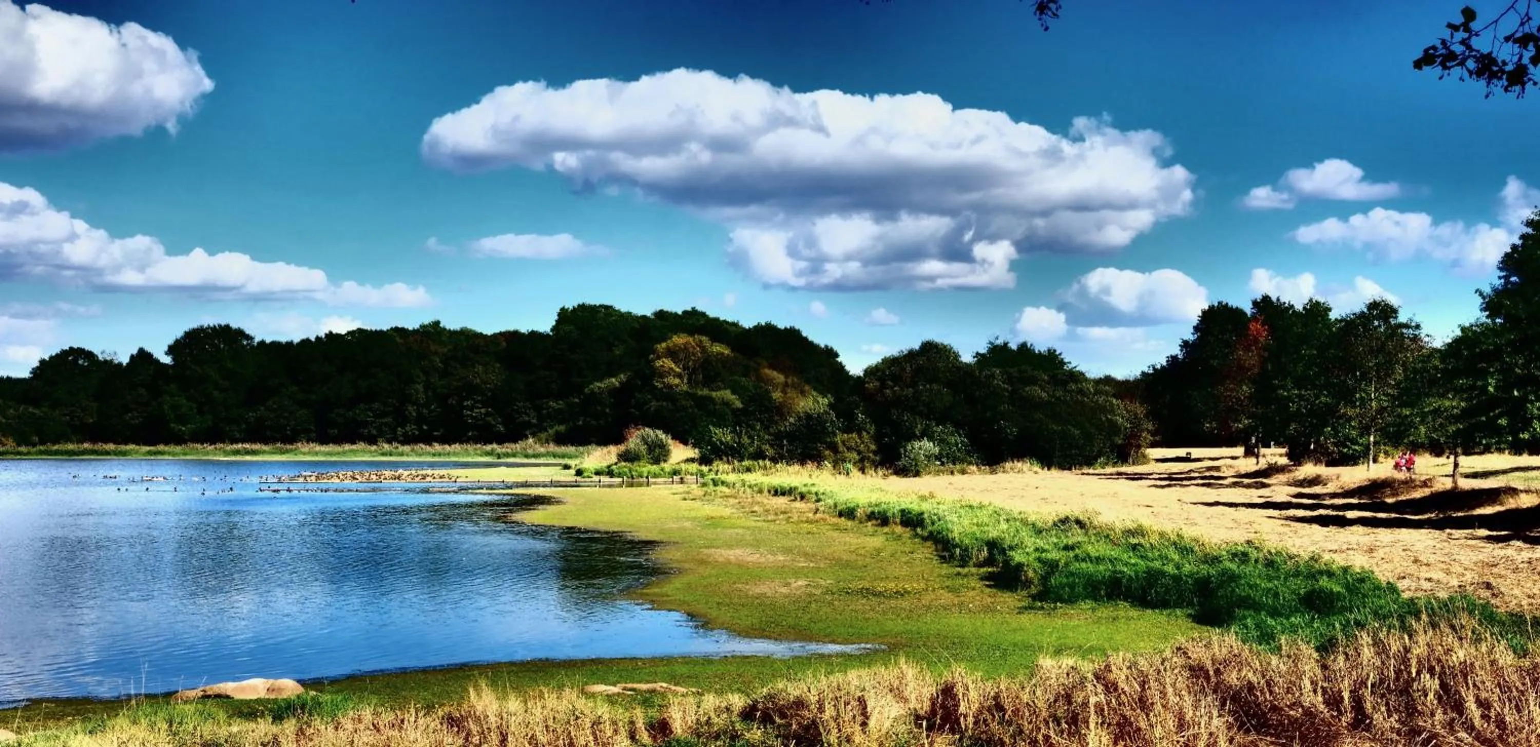 La maison du sculpteur à Tiffauges proche Puy du F