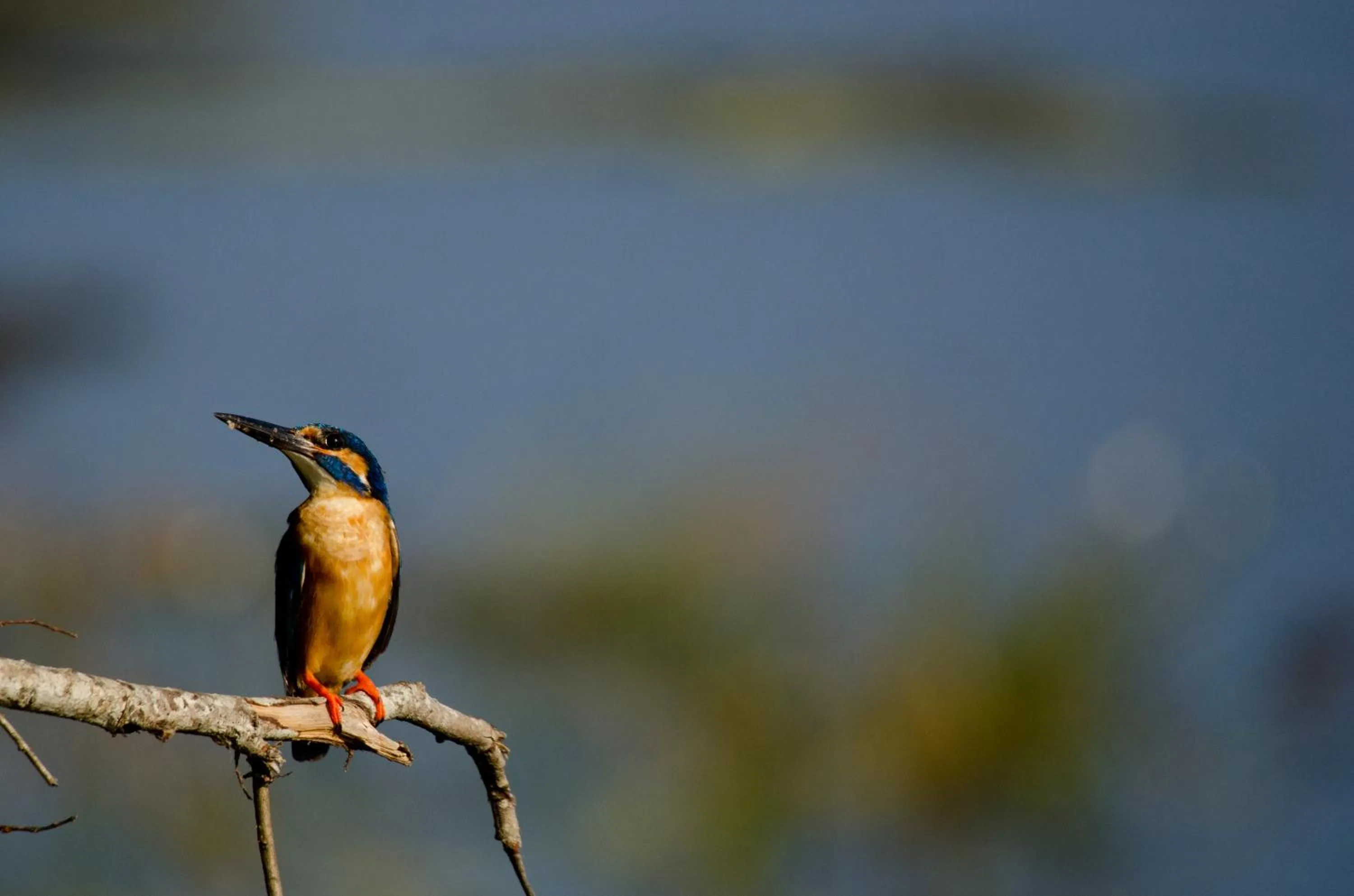 Activities in Malabar Hill