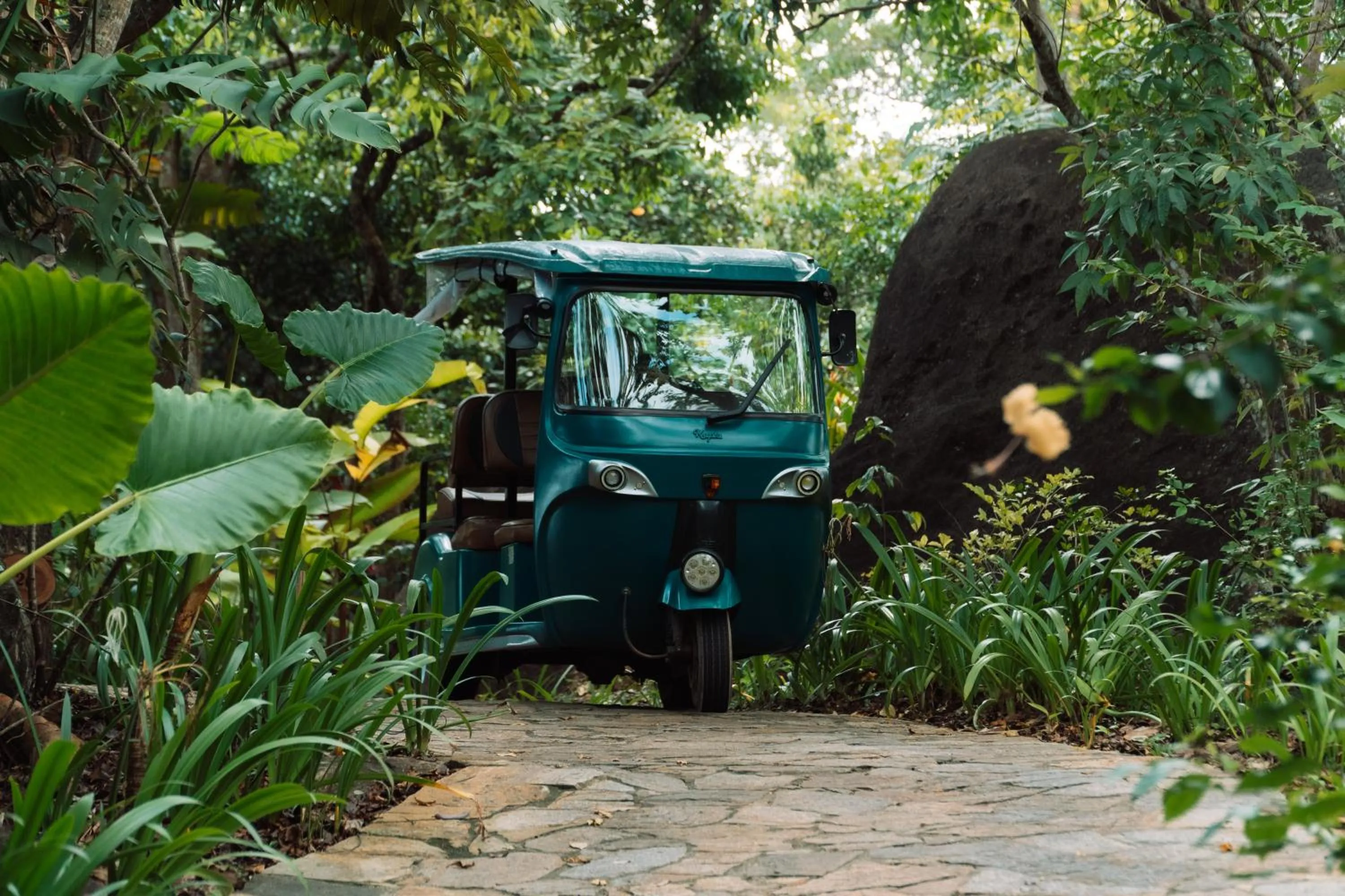 Natural landscape in Malabar Hill