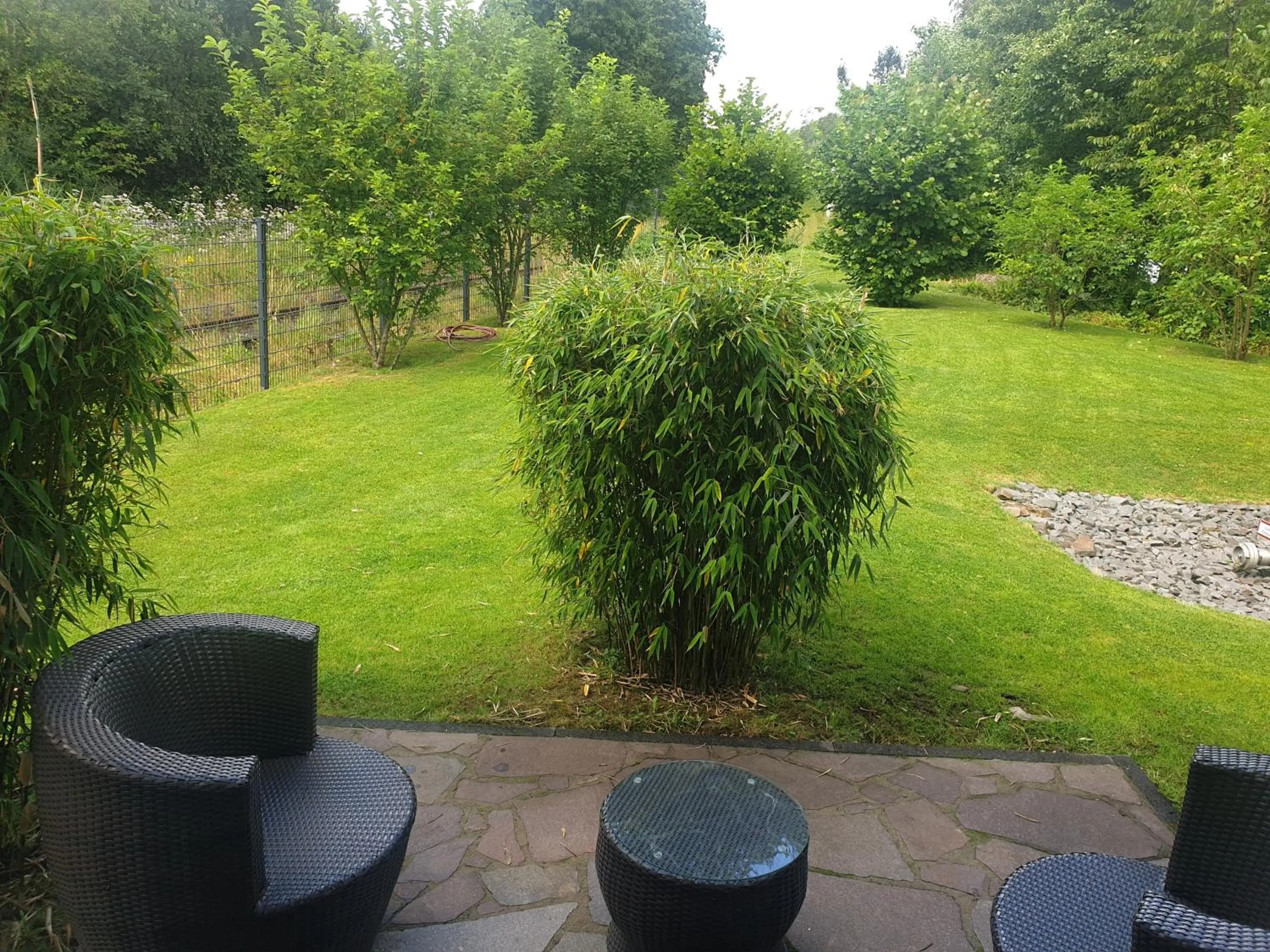 Natural landscape in MotelplusHotel BiggeSeeFront