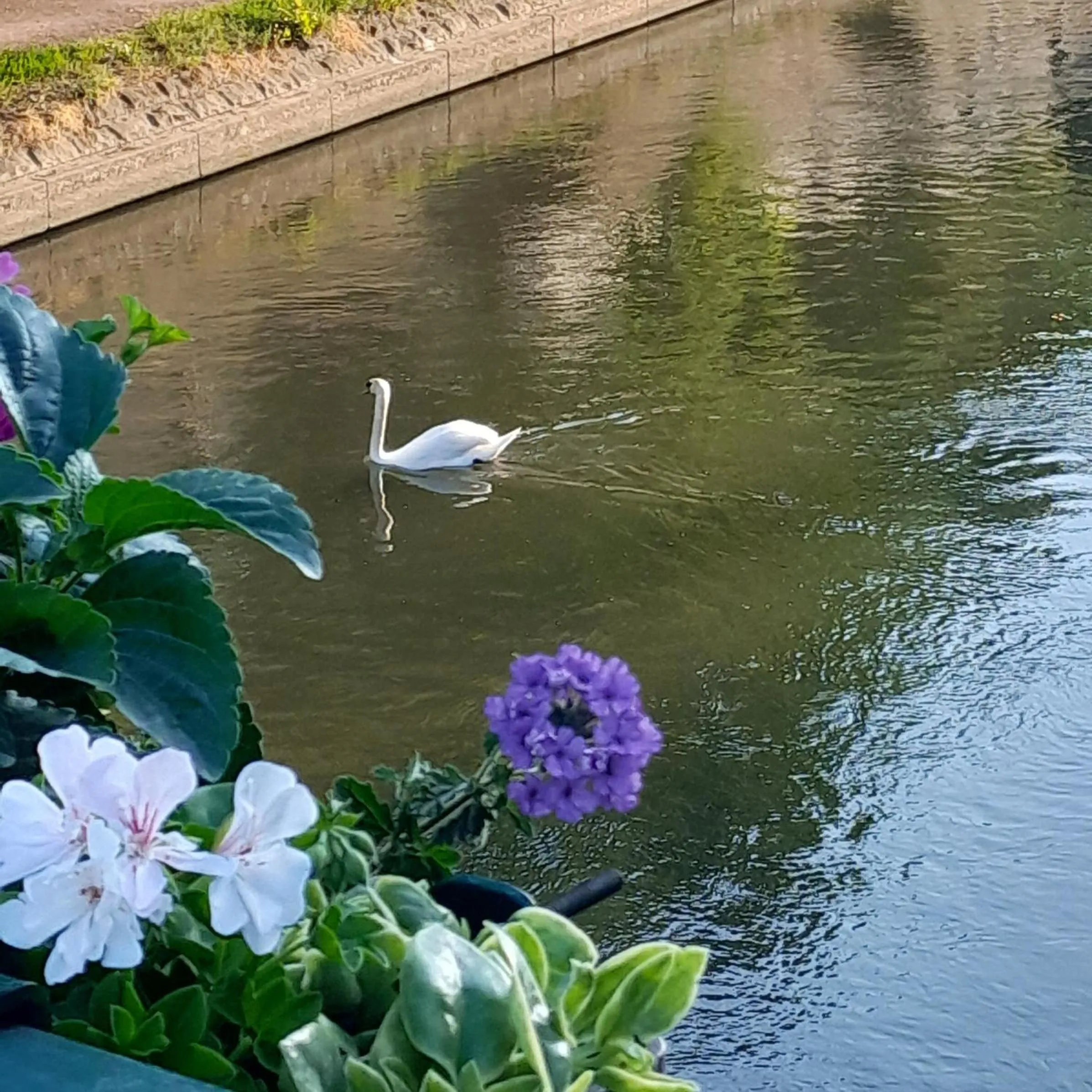 Natural landscape in Mercure Strasbourg Centre