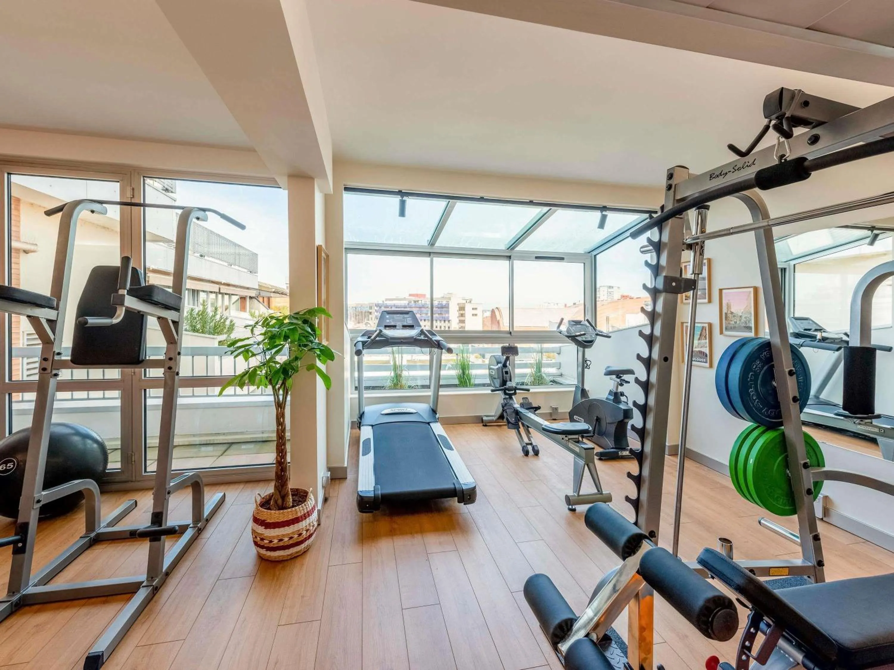 Fitness centre/facilities in Mercure Toulouse Centre Saint-Georges