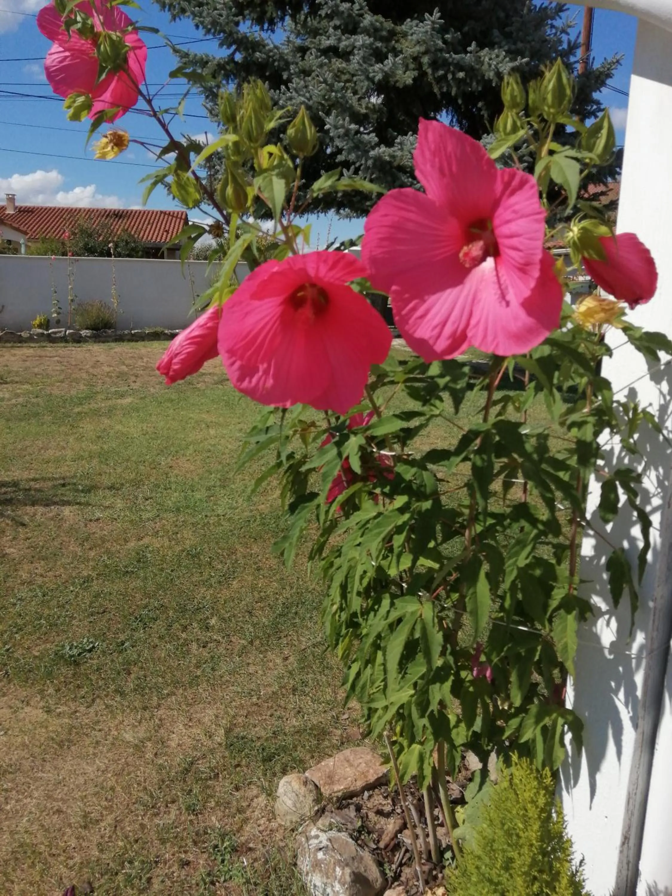 Garden view in Chambres d'hôtes le Clos de la Presle