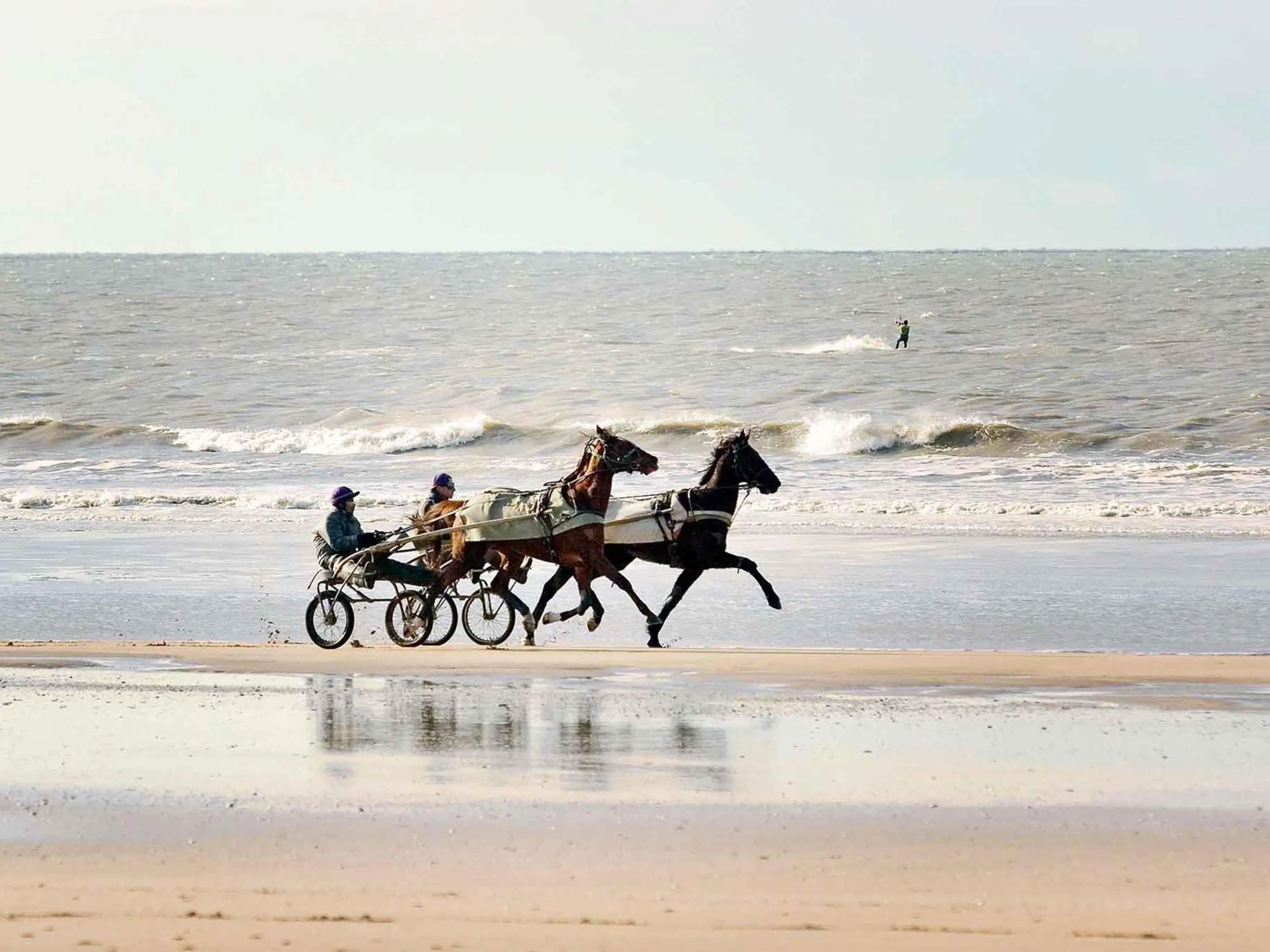 Other in Mercure Deauville Centre