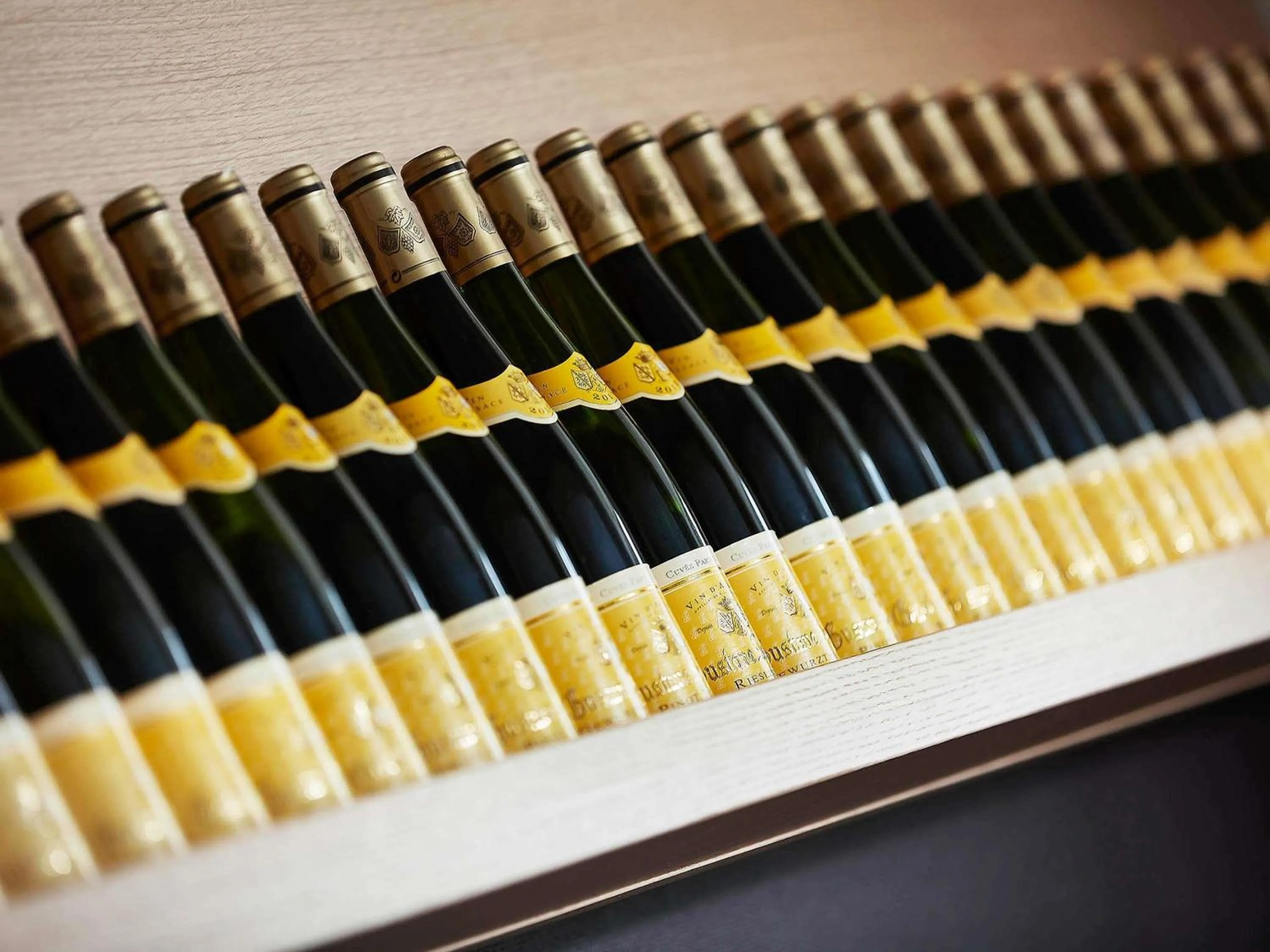 Lounge or bar in Ibis Styles Colmar Nord