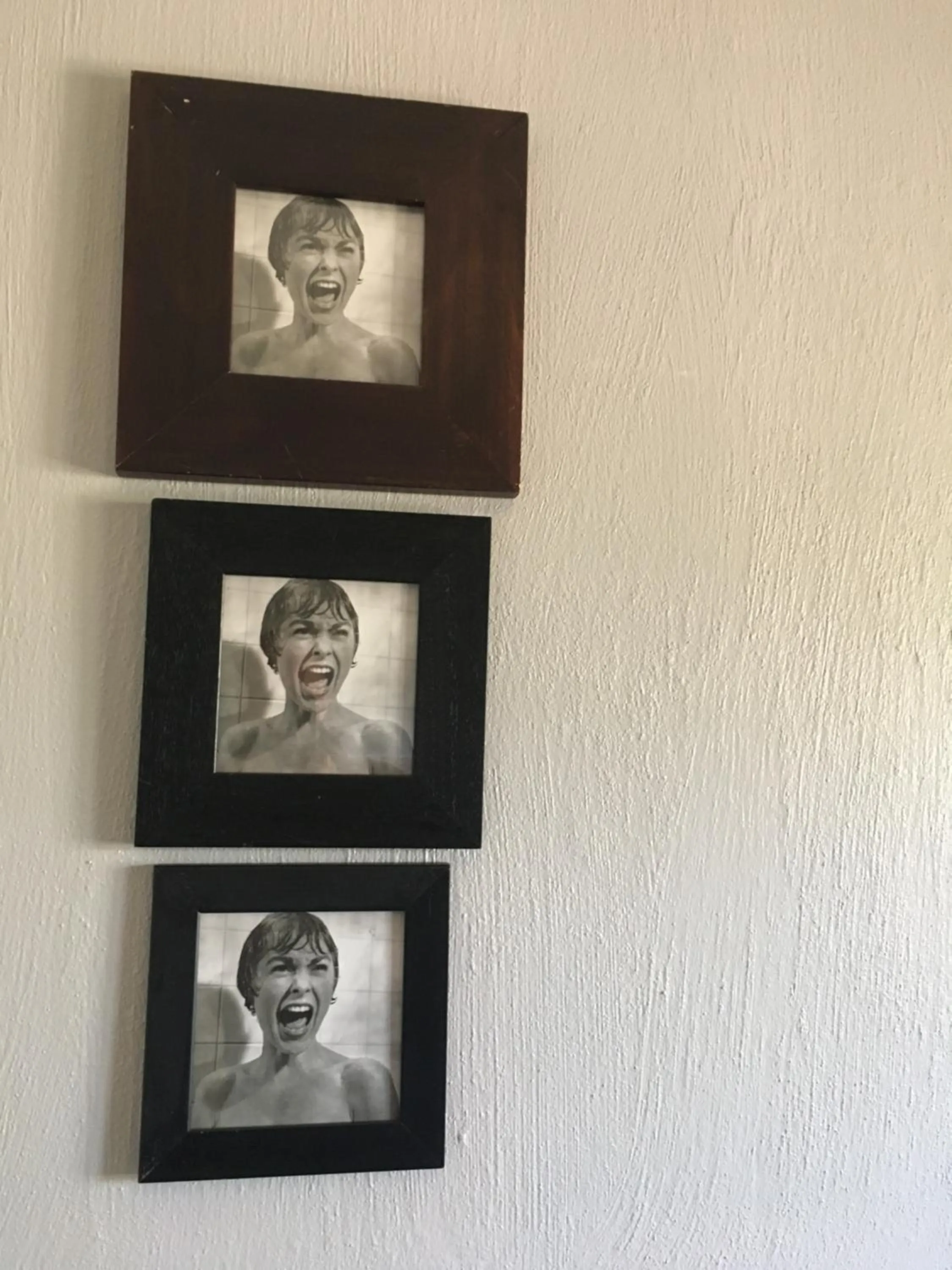 Logo/Certificate/Sign in The Minimalist Studio B