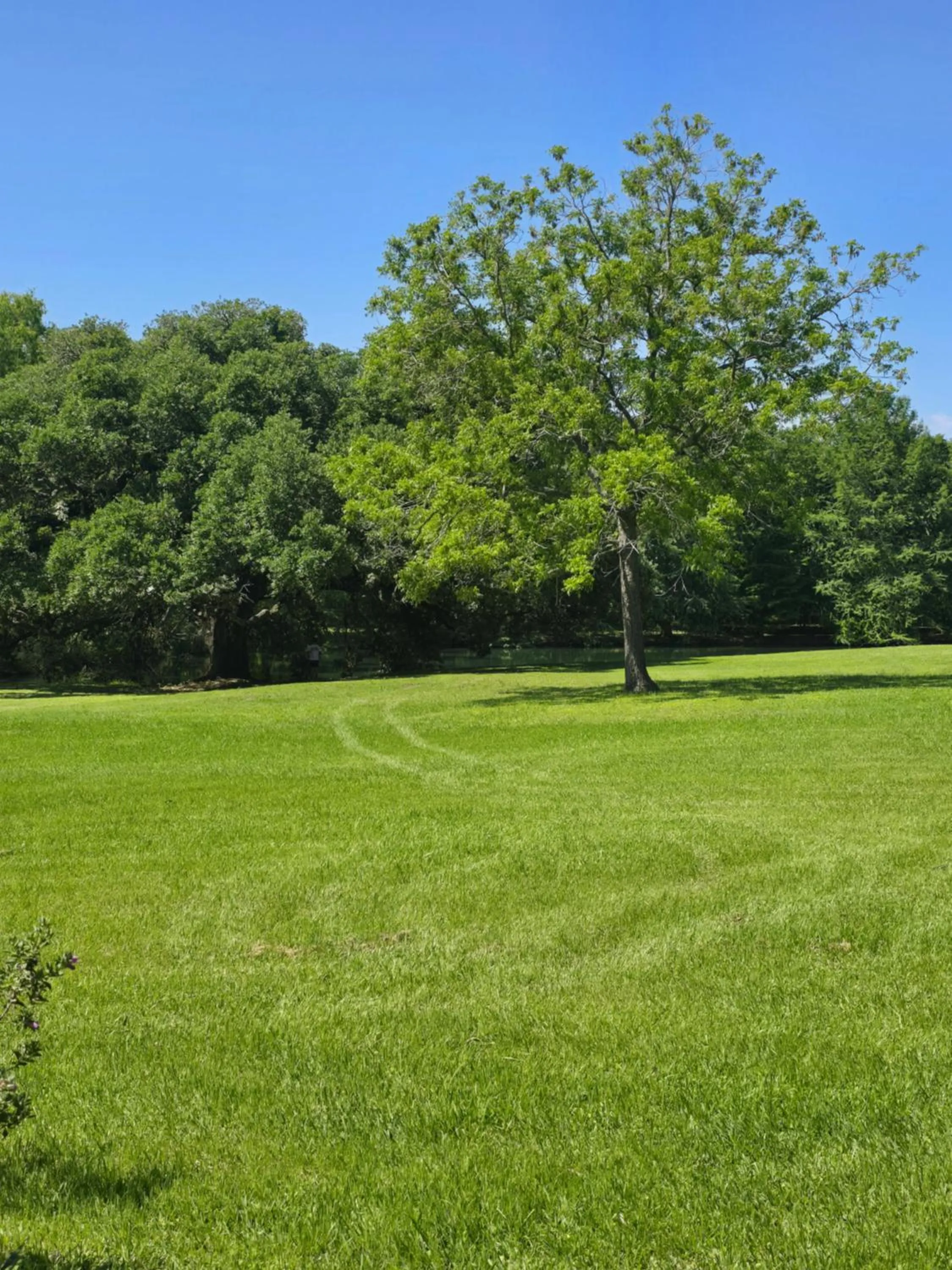 View (from property/room) in Inn at Indian Creek