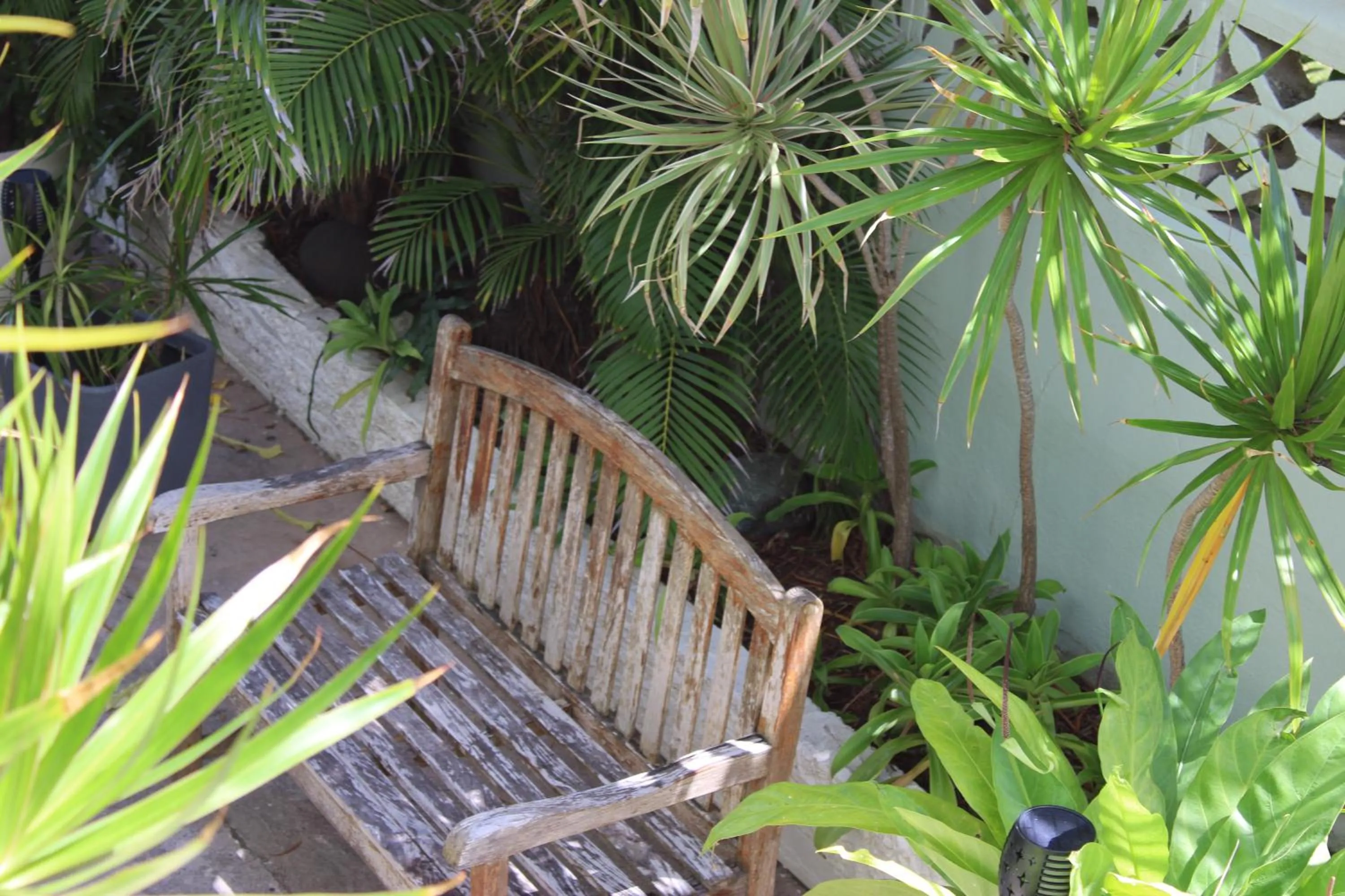 Garden in Numero Uno Beach Apartments