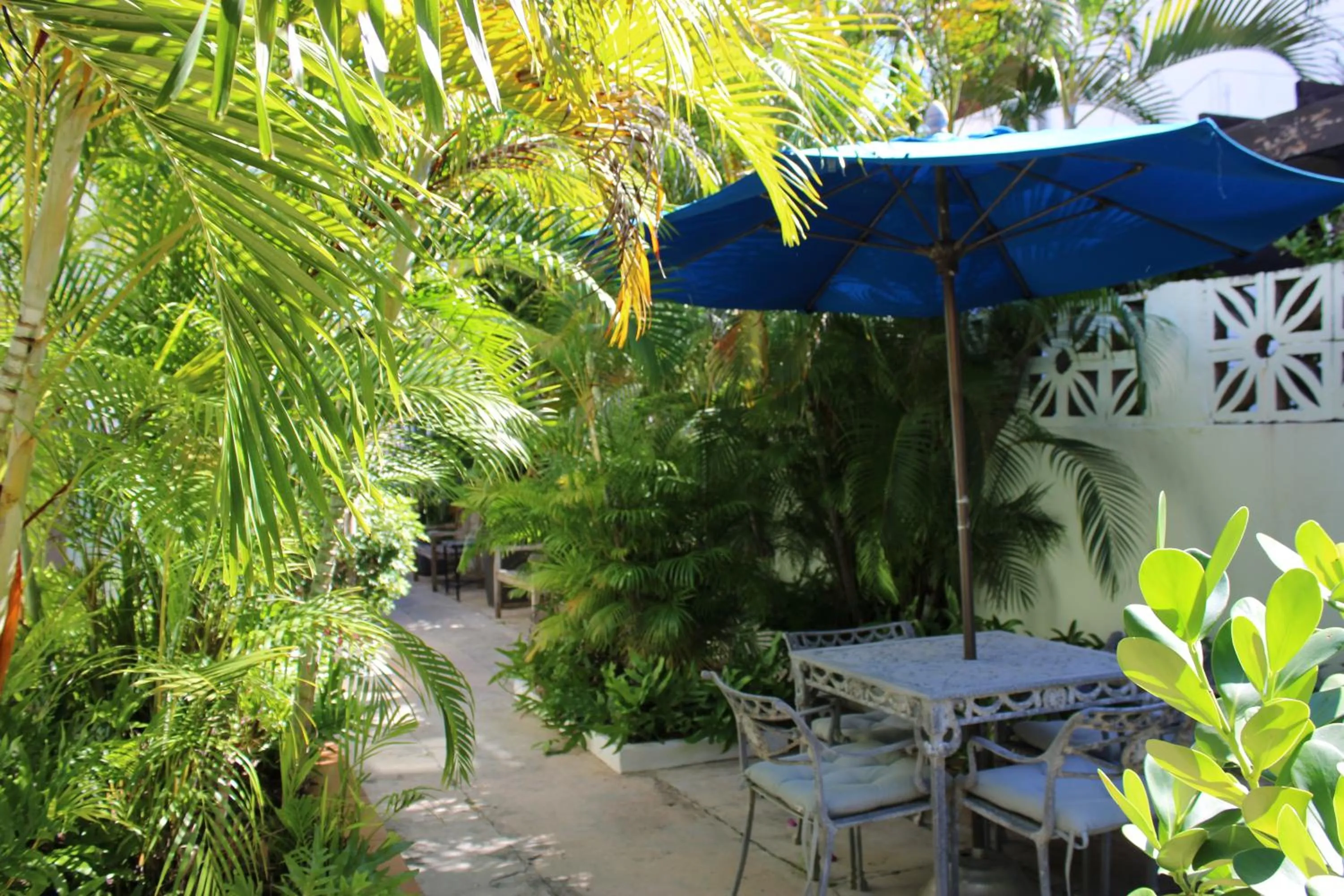 Garden in Numero Uno Beach Apartments