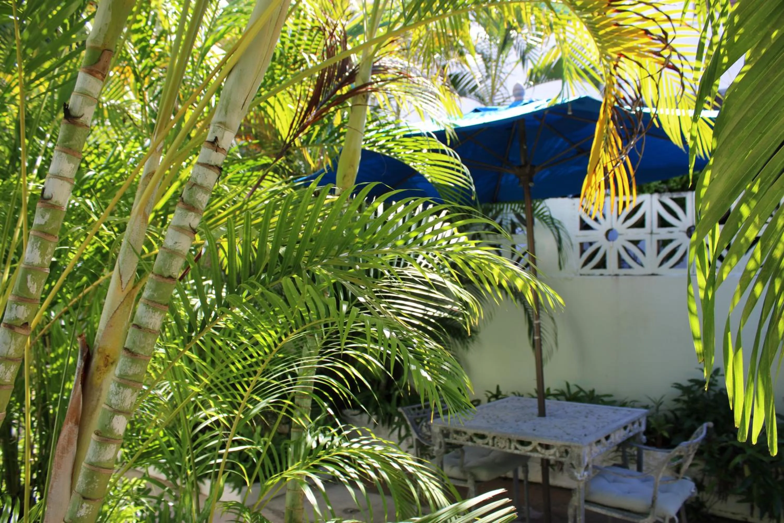 Garden in Numero Uno Beach Apartments