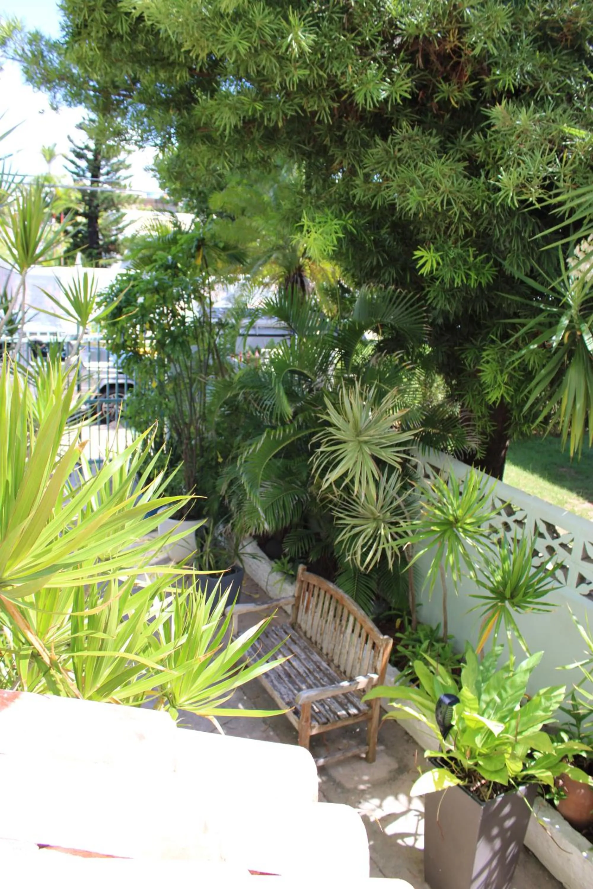 Garden in Numero Uno Beach Apartments