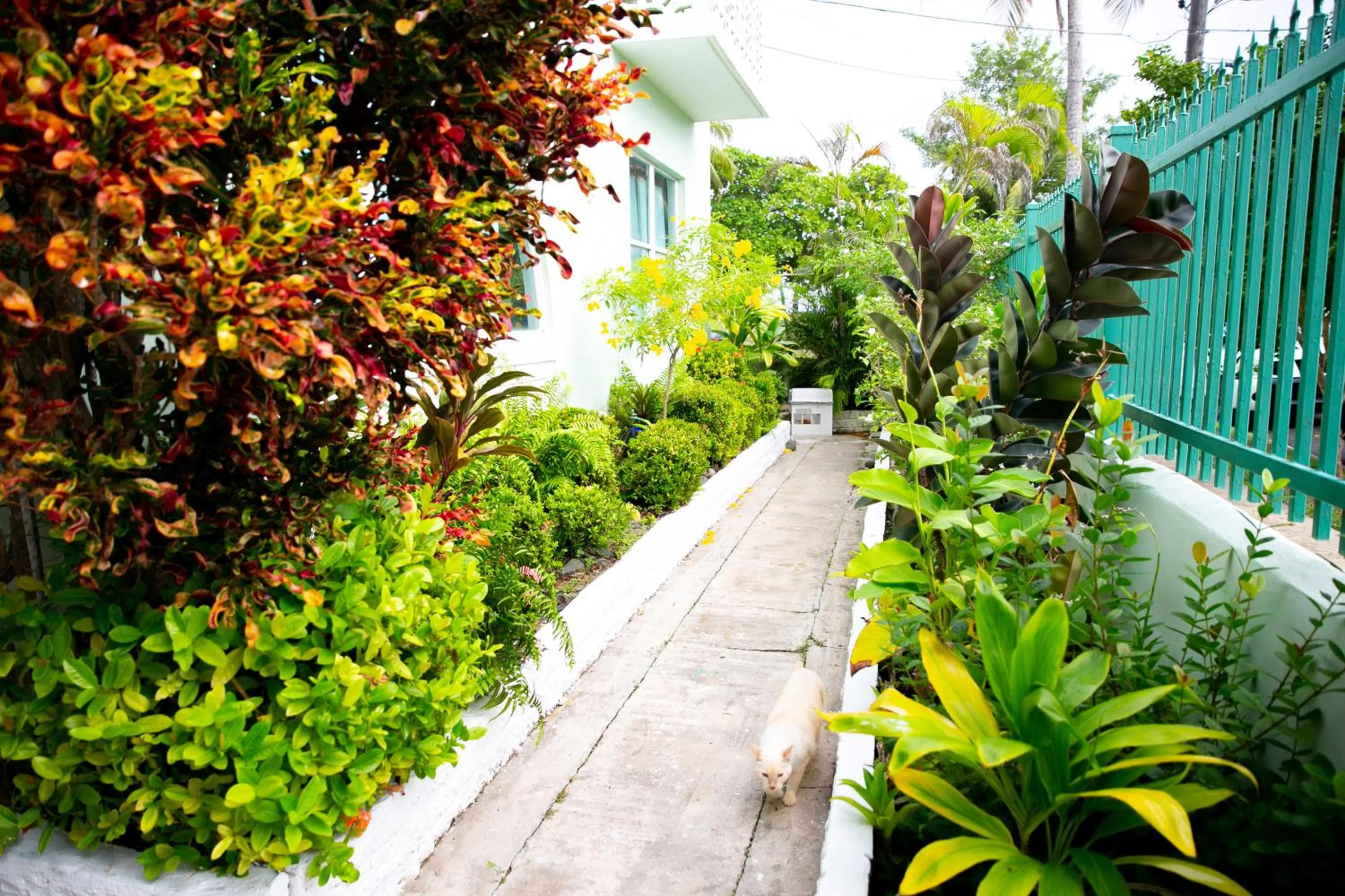 Numero Uno Beach Apartments