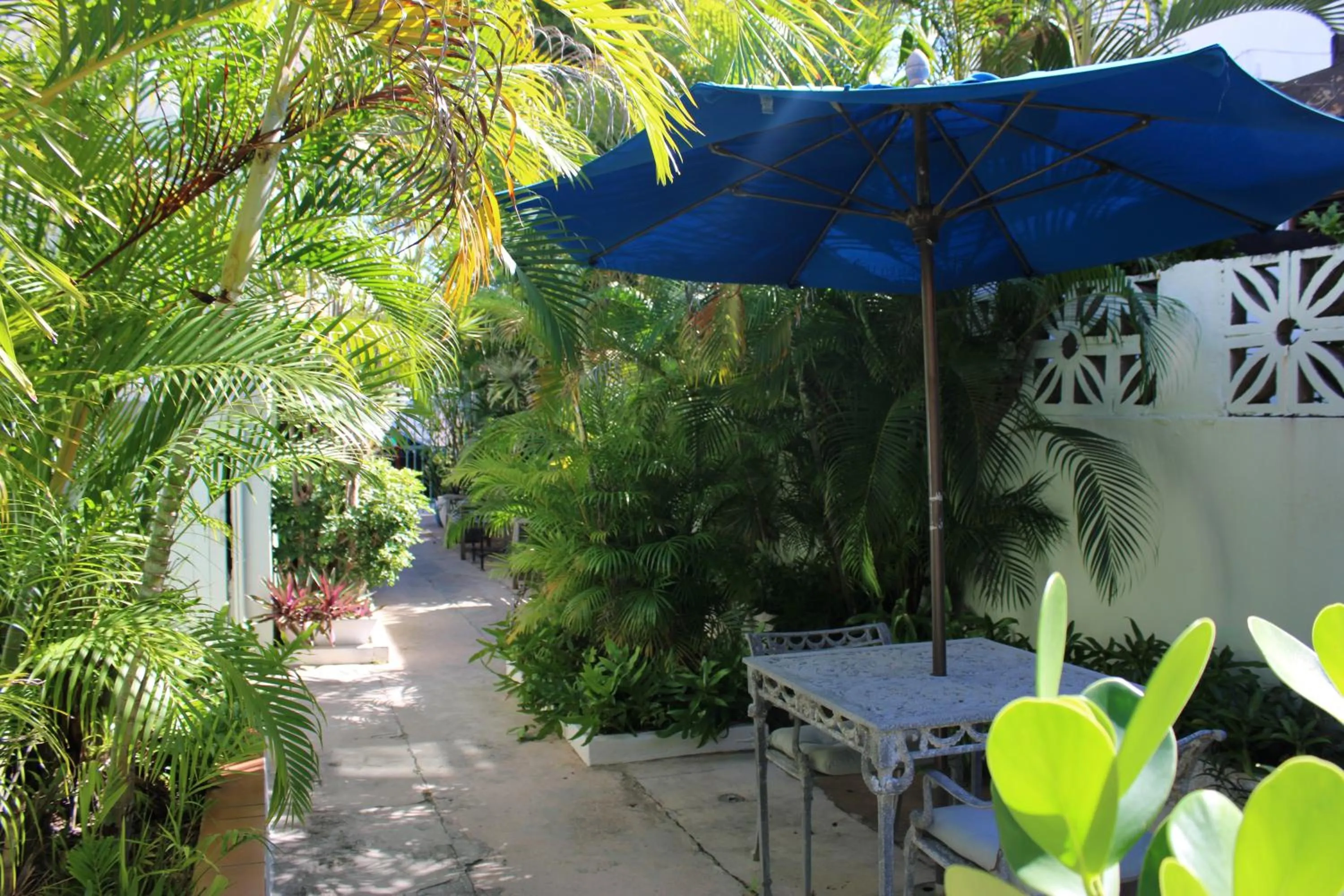 Garden in Numero Uno Beach Apartments