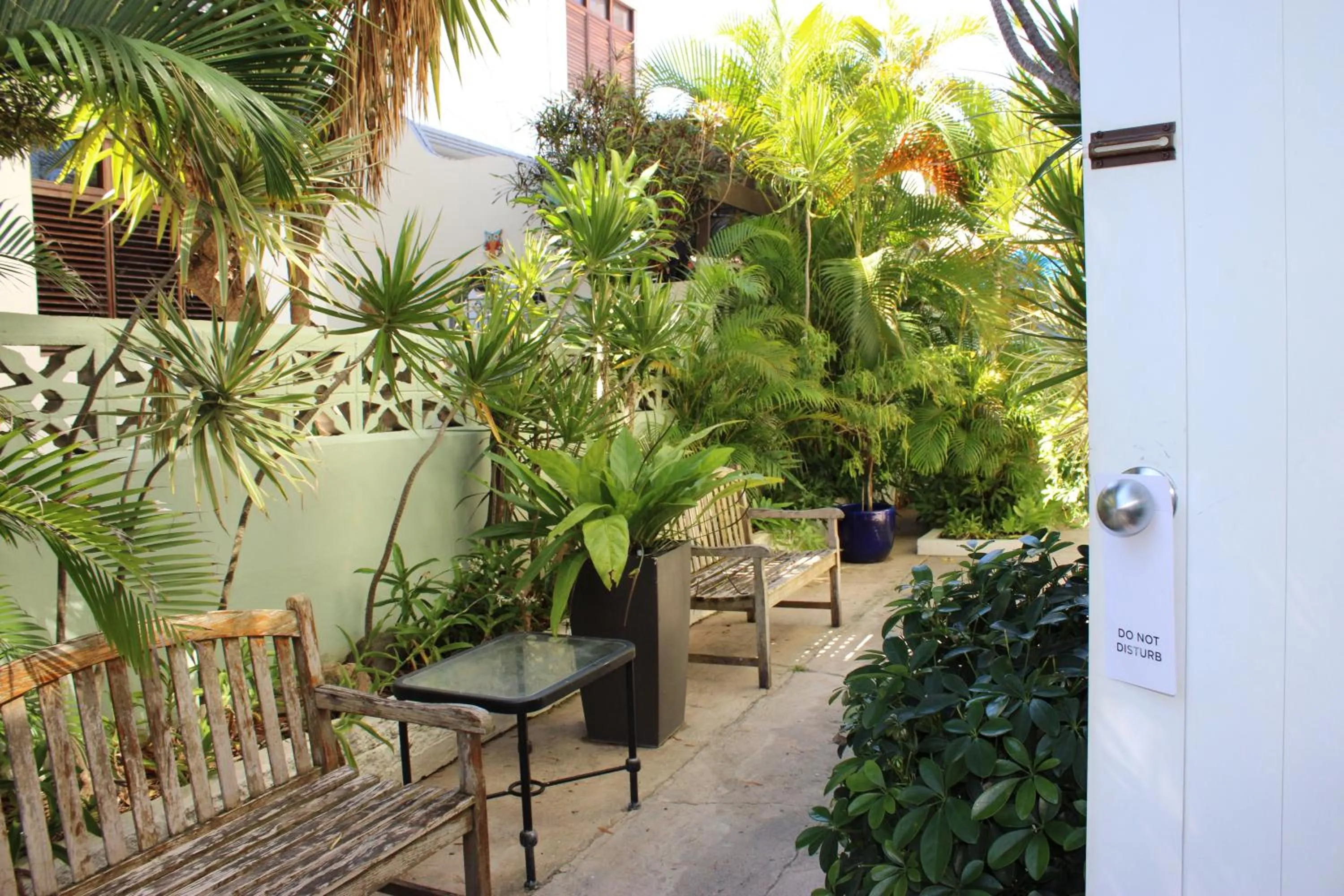 Garden in Numero Uno Beach Apartments