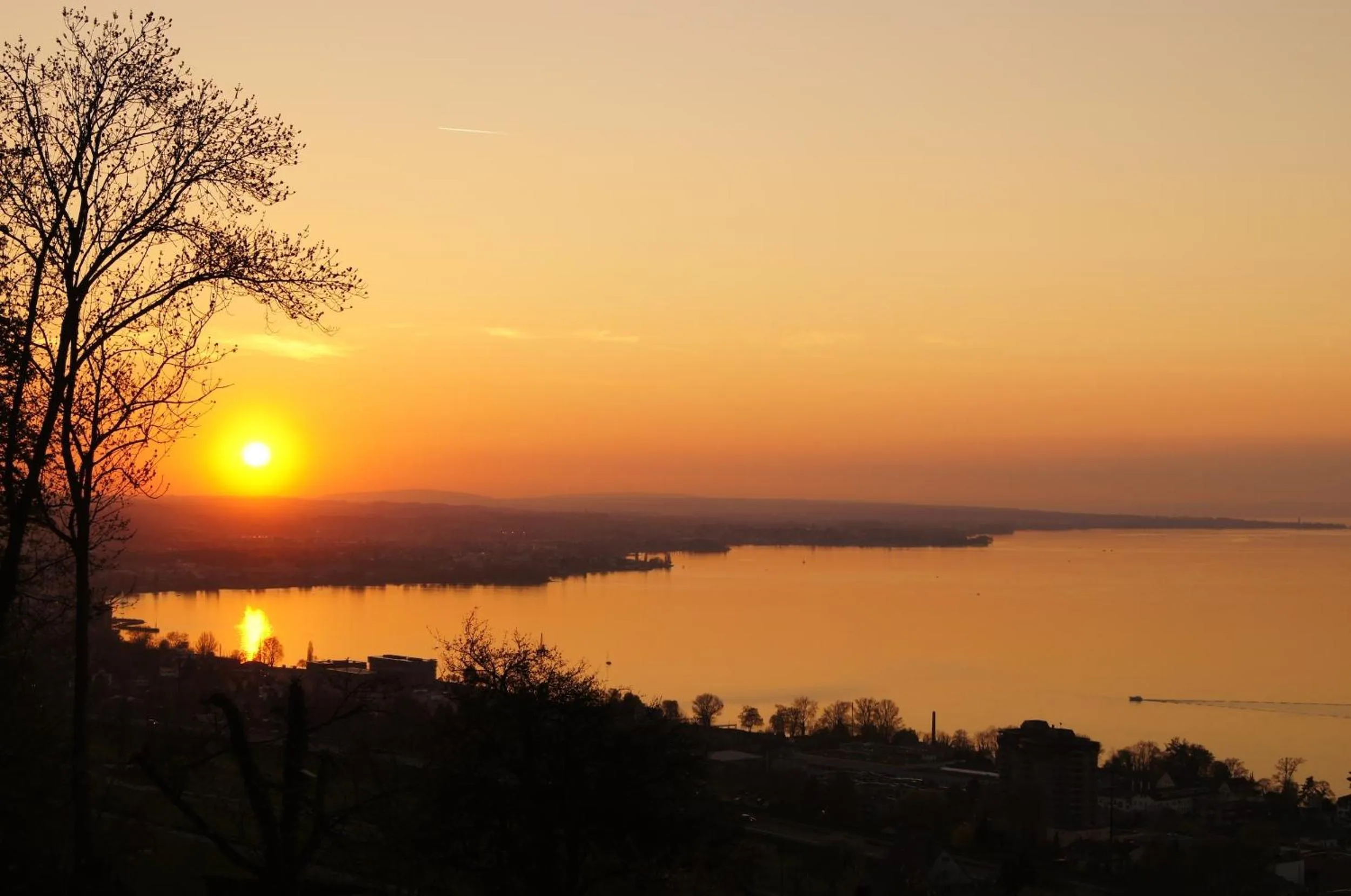 View (from property/room) in Schloss Wartensee