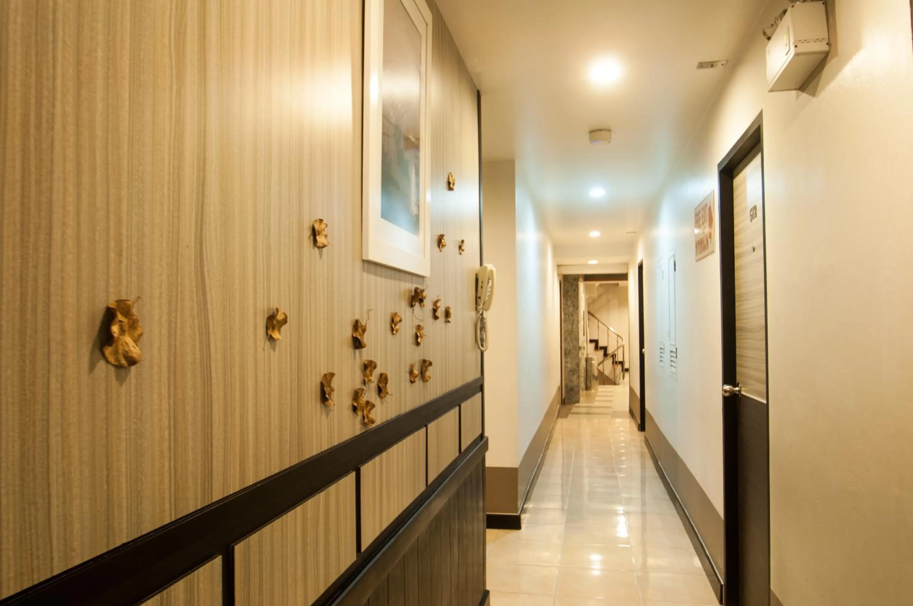 Area and facilities in Flipper House Hotel - SHA Extra Plus