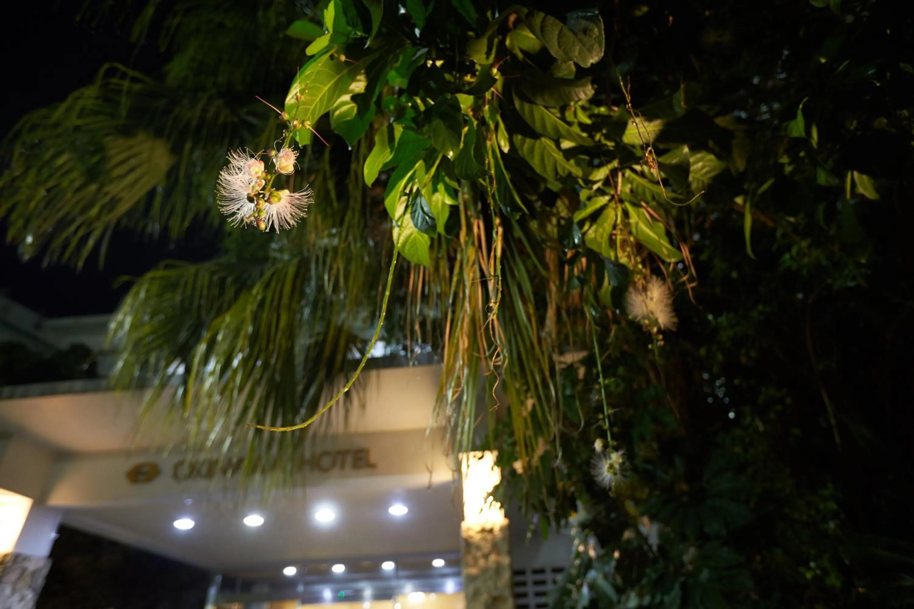 Facade/entrance in Okinawa Hotel