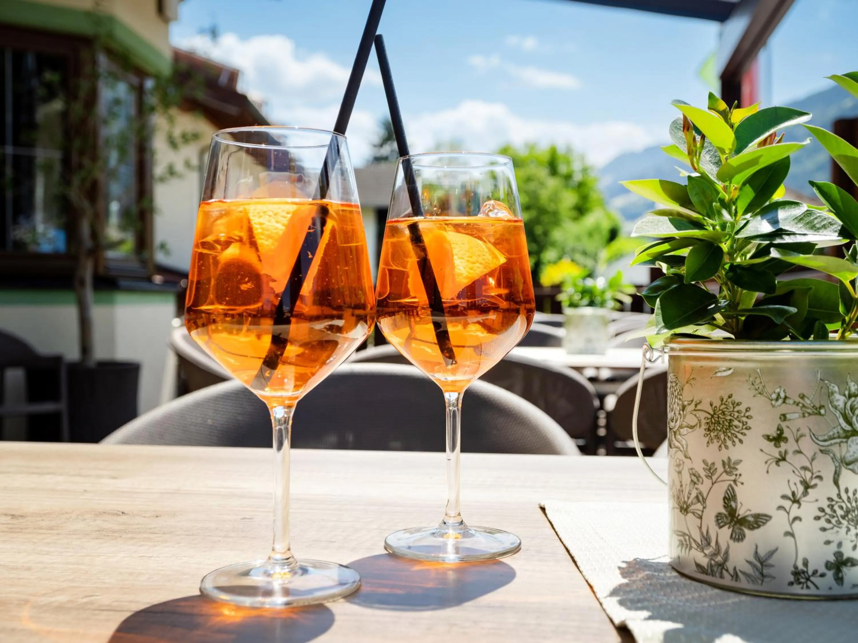 Balcony/Terrace in Hotel Alpina