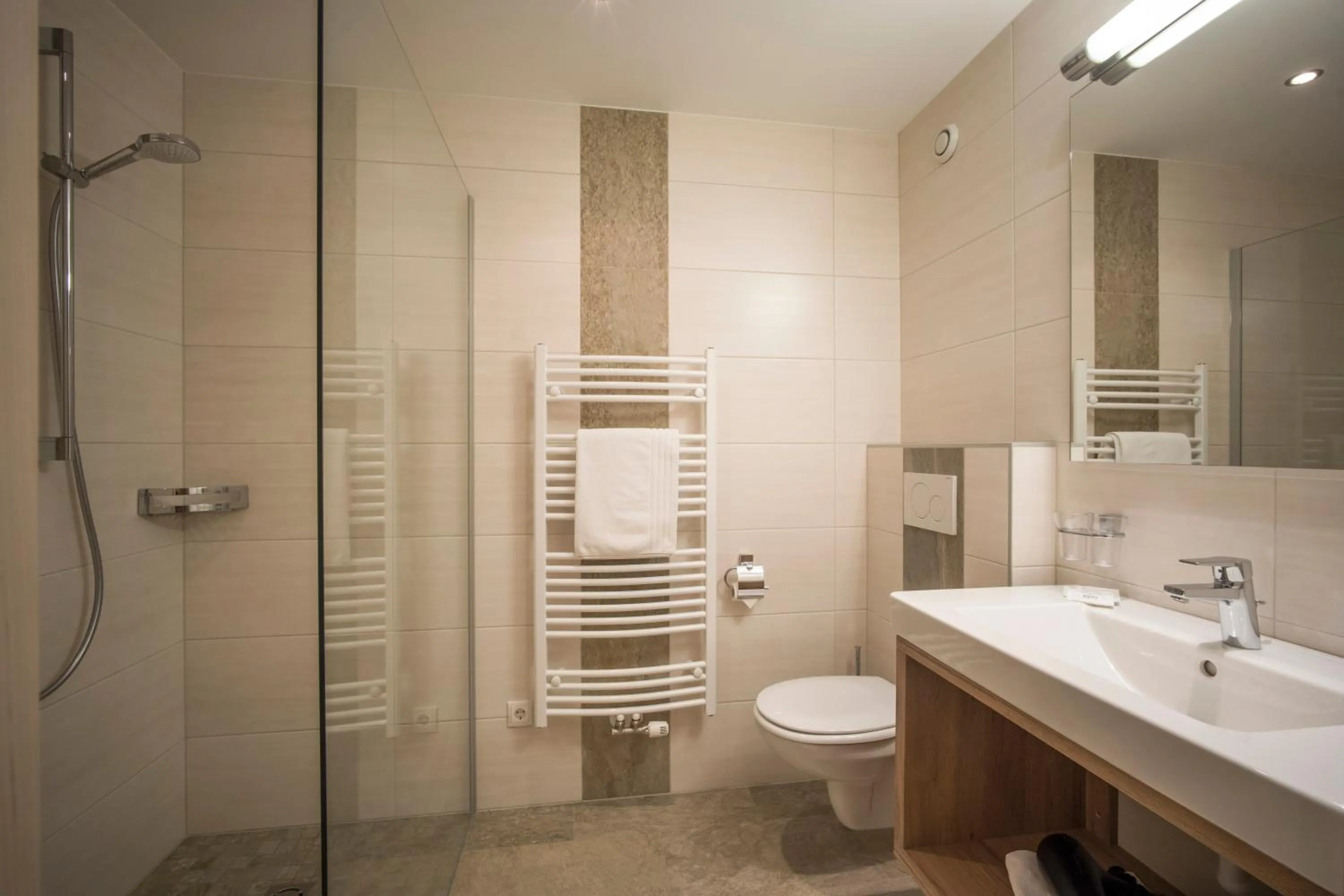 Bathroom in Hotel Alpina