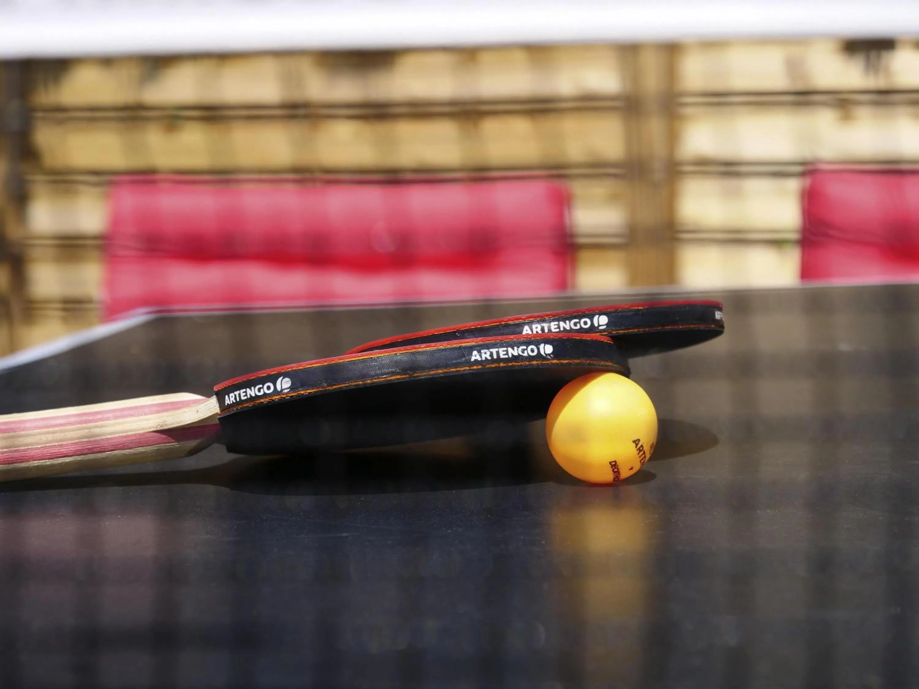 Other in Mercure Annemasse Porte De Genève