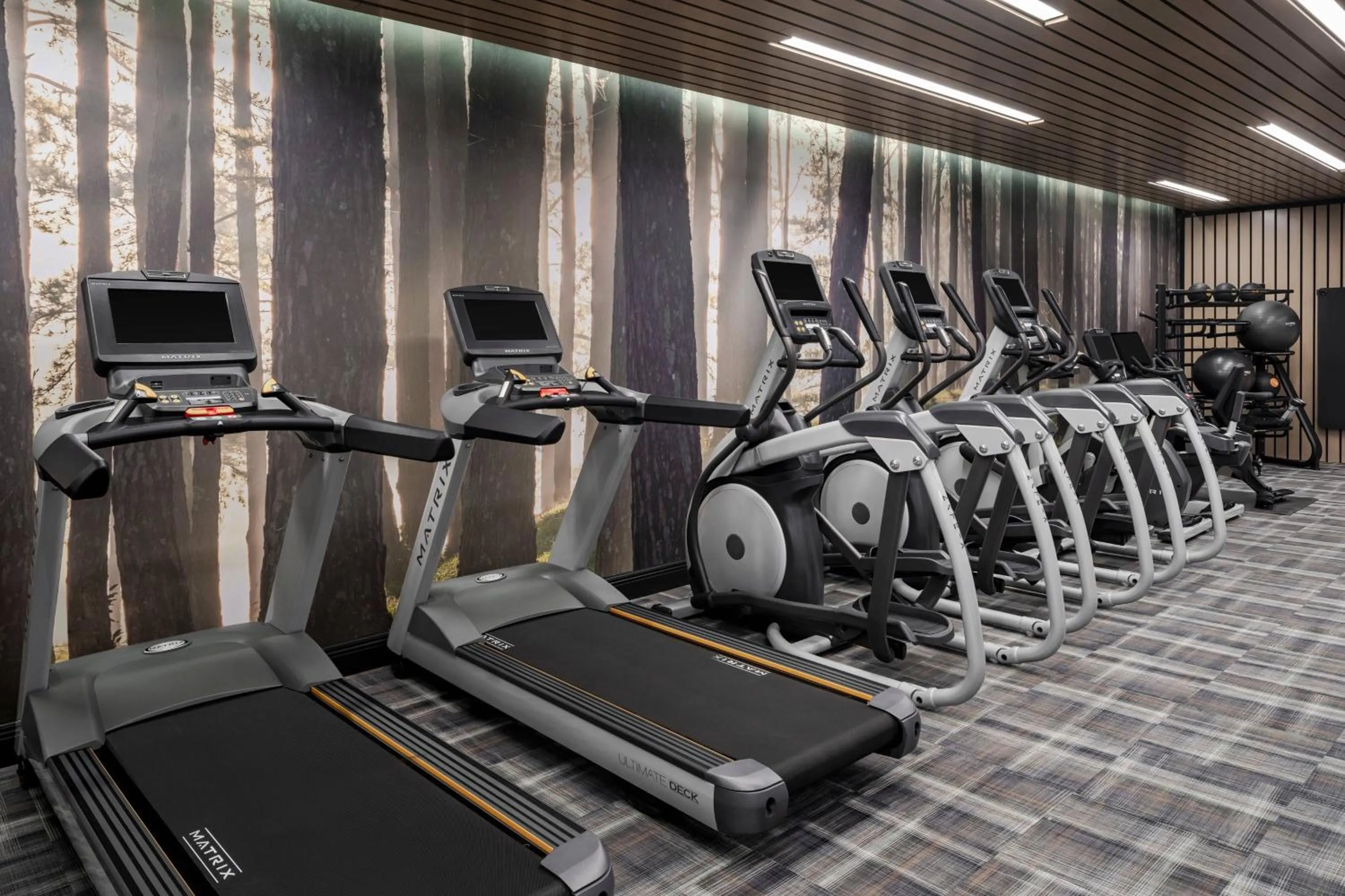 Fitness centre/facilities in The Lytle Park Hotel, Autograph Collection